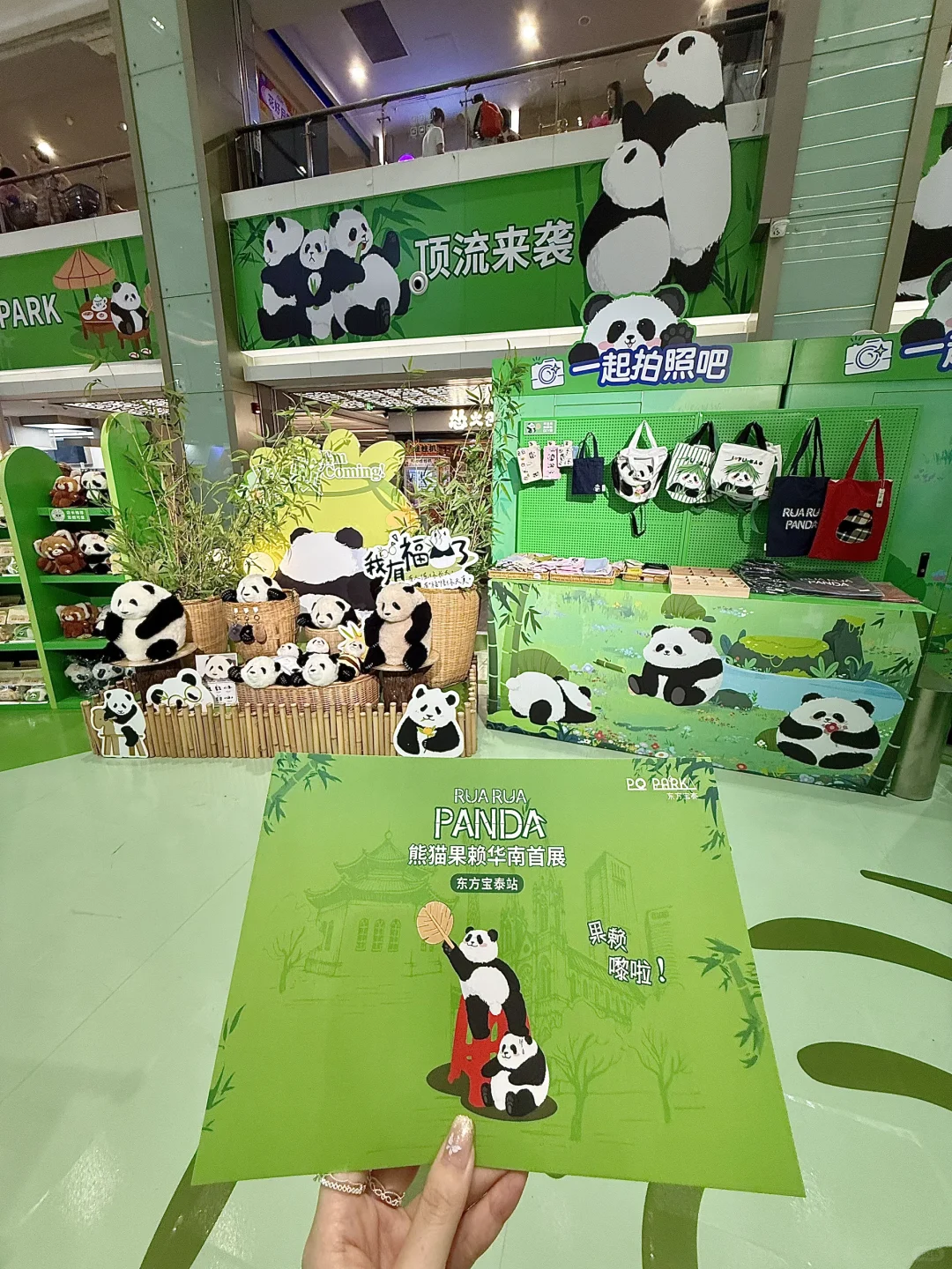 广州新的0r熊猫展！好可爱好好逛！！快去！！