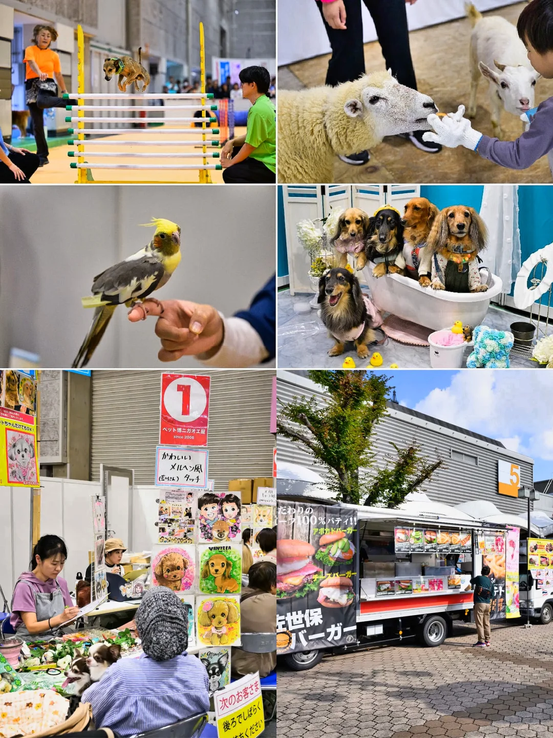 大阪|宠物展会Pet博2025???