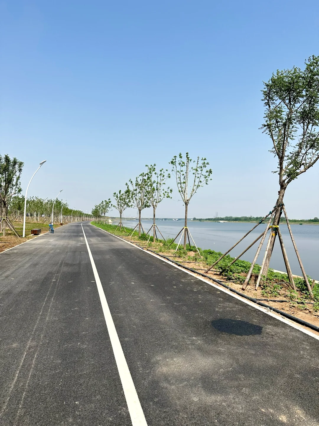 津南国展旁，新建带娃公园