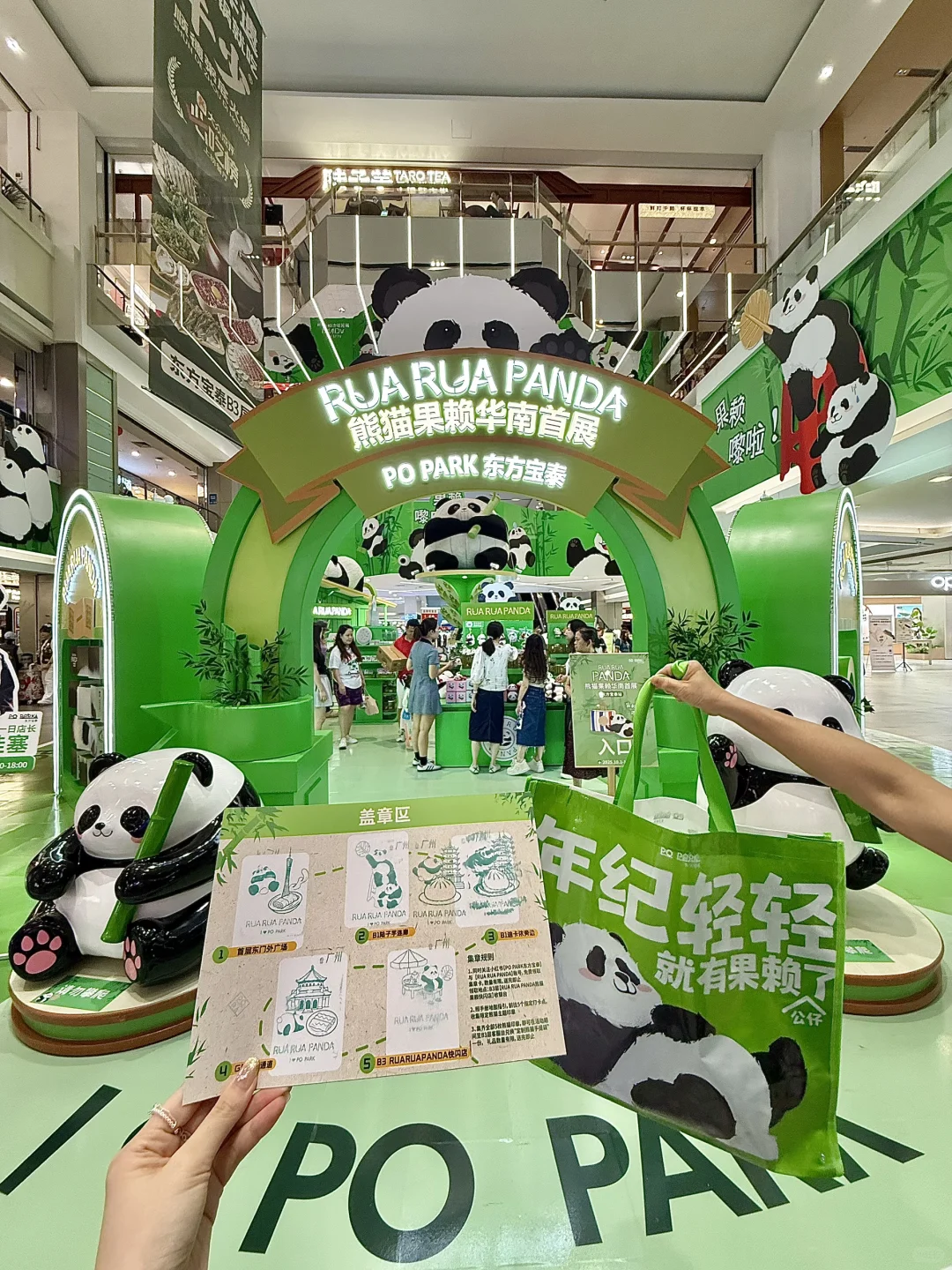 广州新的0r熊猫展！好可爱好好逛！！快去！！