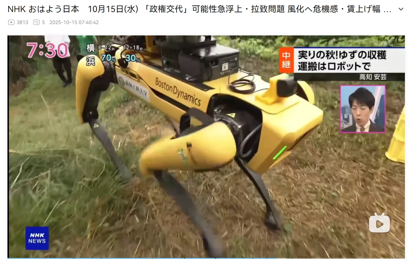 最新news:AI的广泛应用、熊害、产业变化