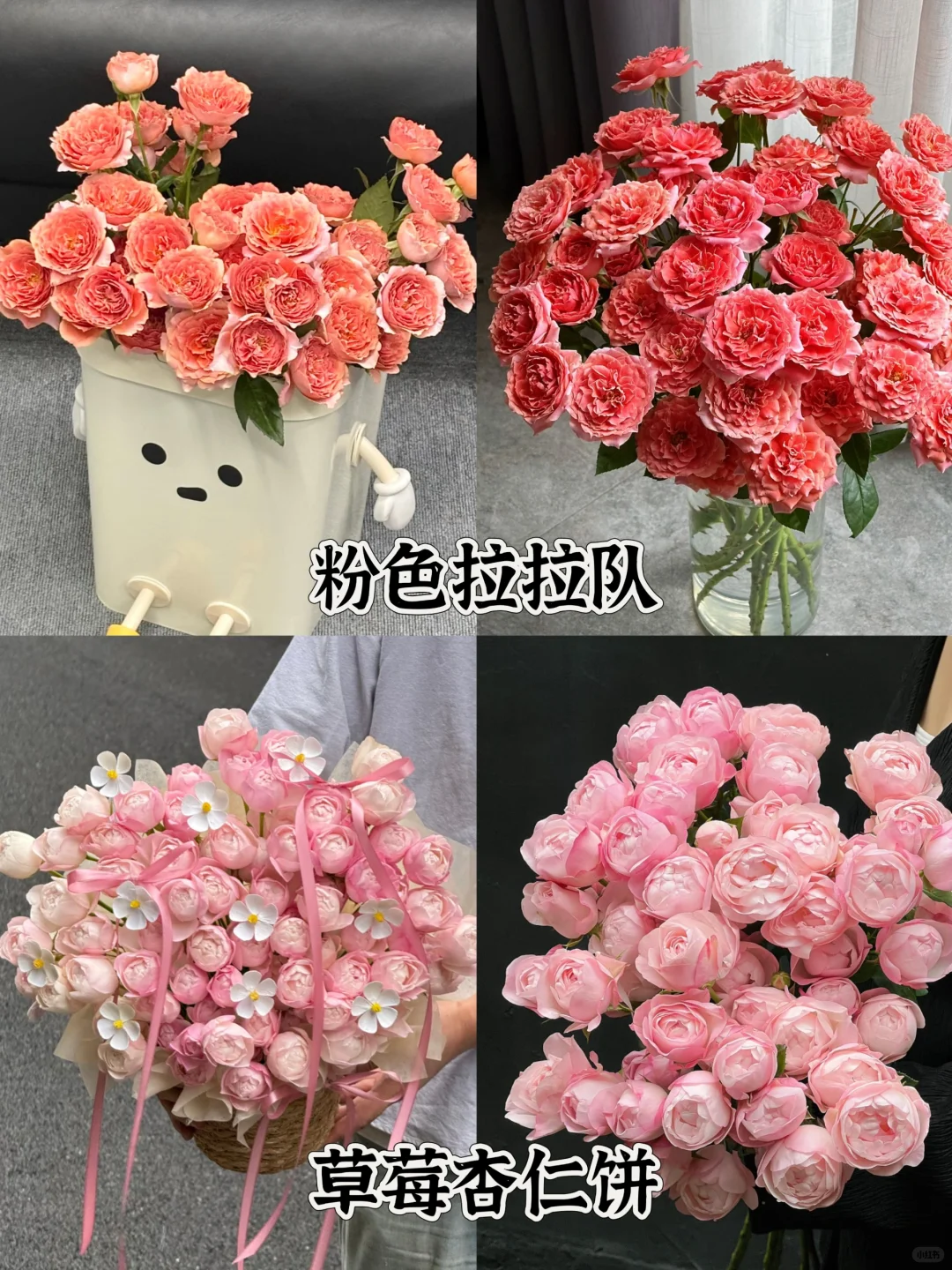 一次性认识16种粉色多头玫瑰，适合甜妹的花