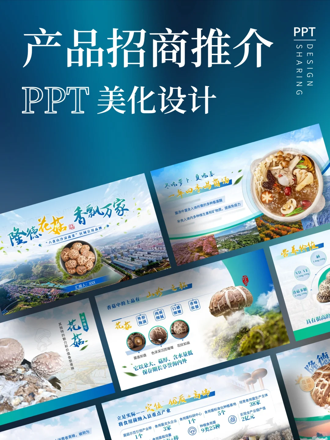 农产品招商推介会ppt美化设计制作
