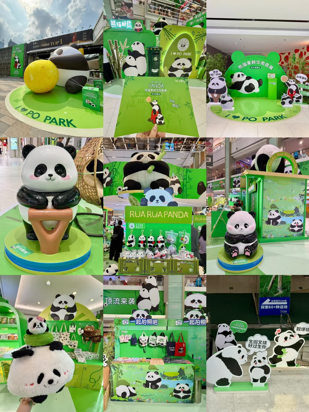广州新的0r熊猫展！好可爱好好逛！！快去！！