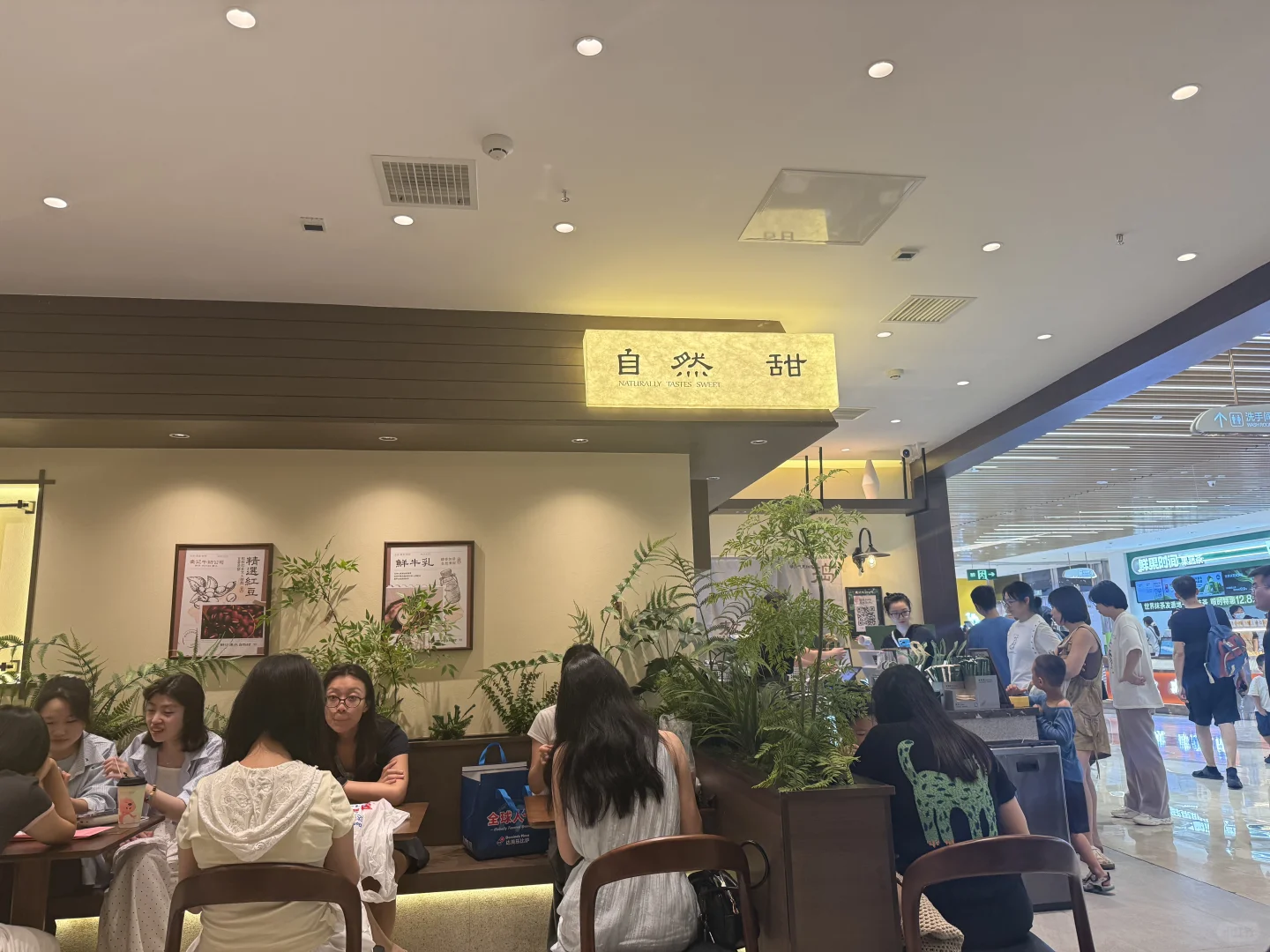 火爆江浙沪的麦记牛奶公司来邯郸啦