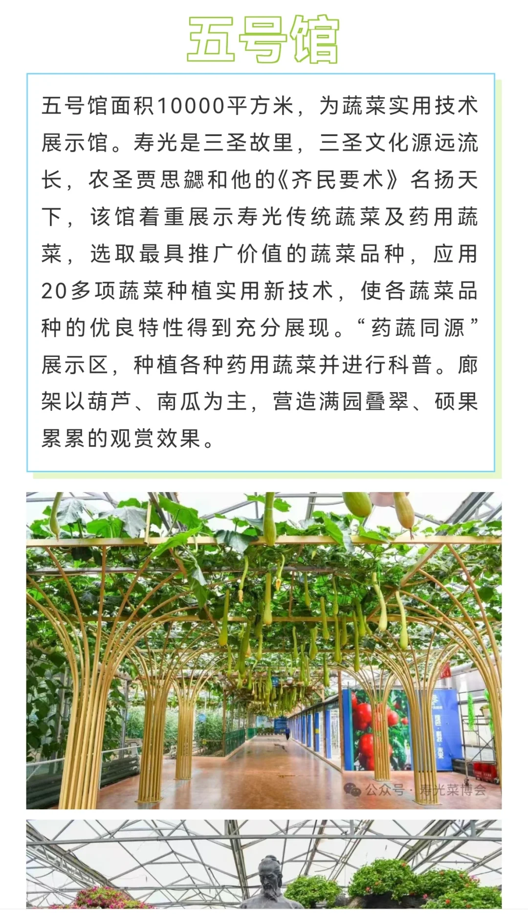第二十六届寿光菜博会，4月20日开幕！