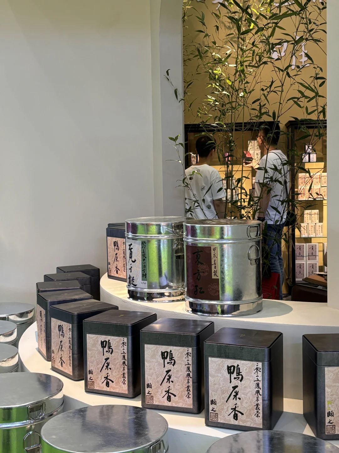 ???祛班味❕厦门茶博会变变变了?