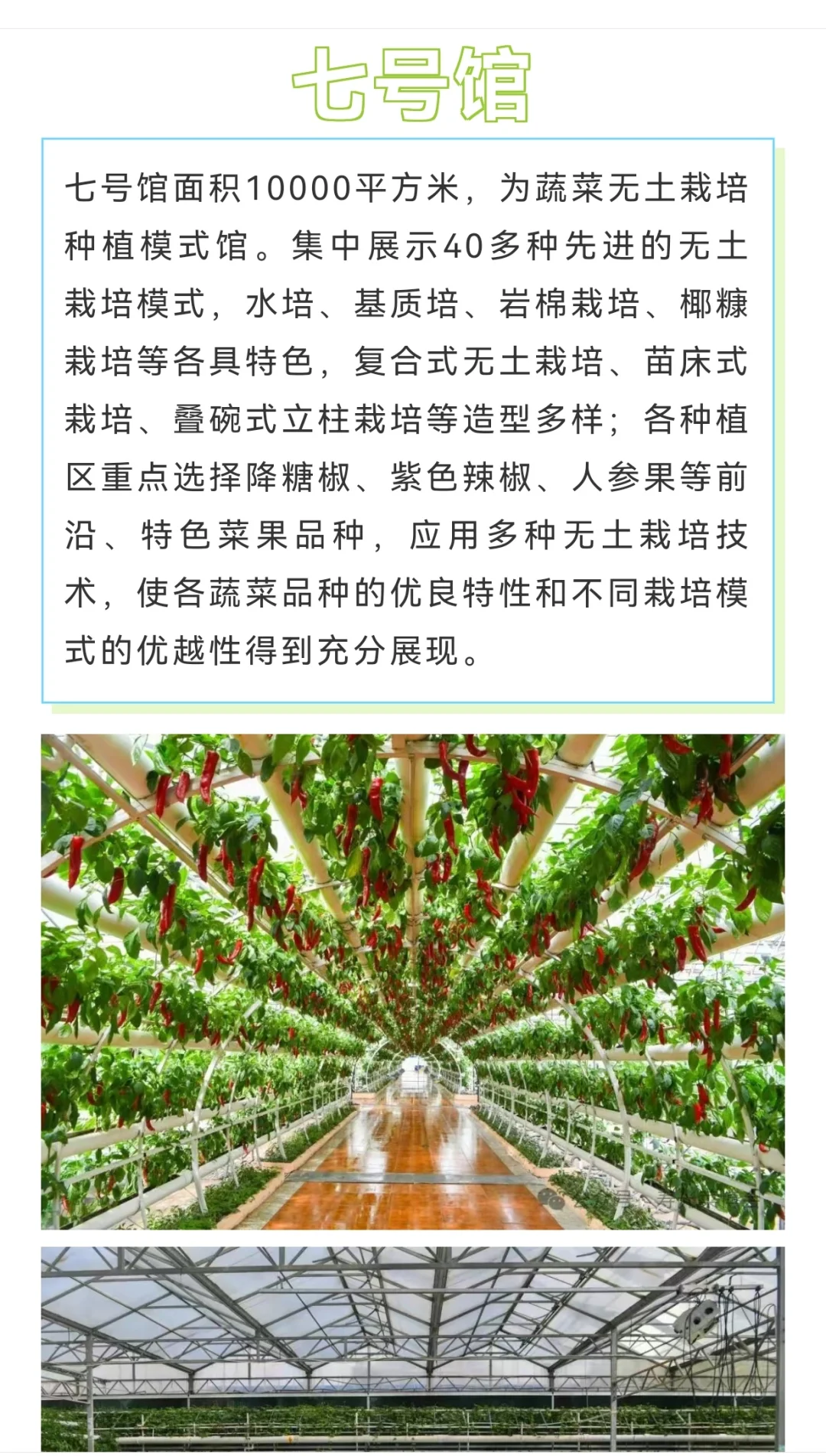 第二十六届寿光菜博会，4月20日开幕！