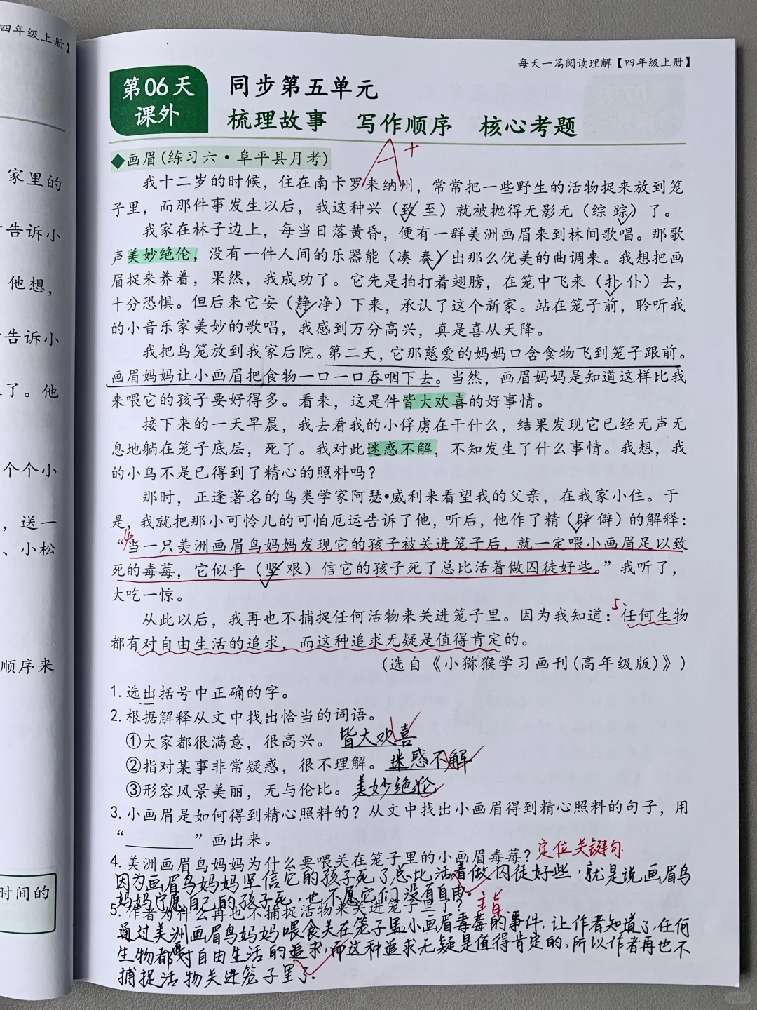 被语文老师认可‼️疯狂团购的四上阅读专项?