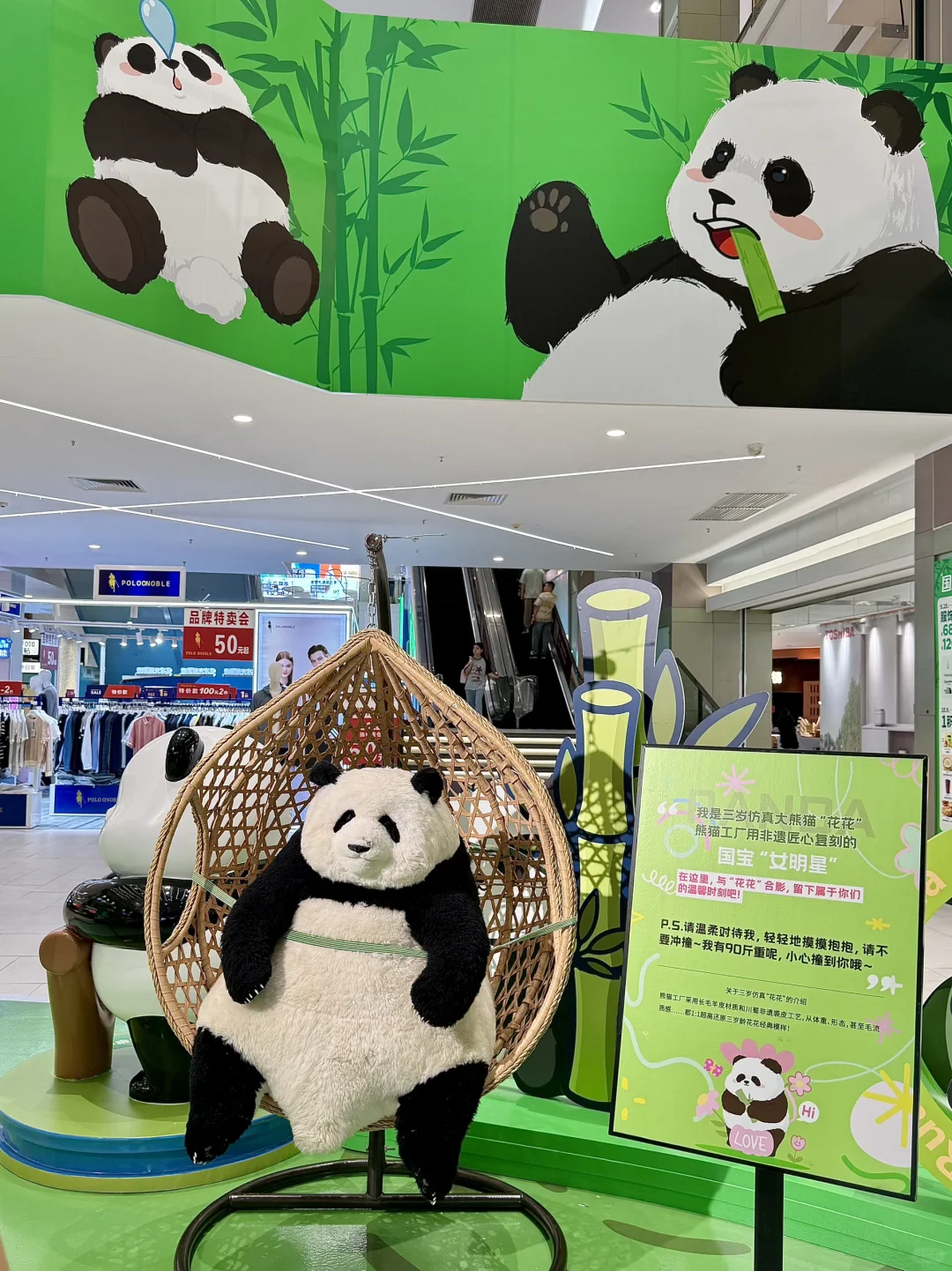 广州新的0r熊猫展！好可爱好好逛！！快去！！