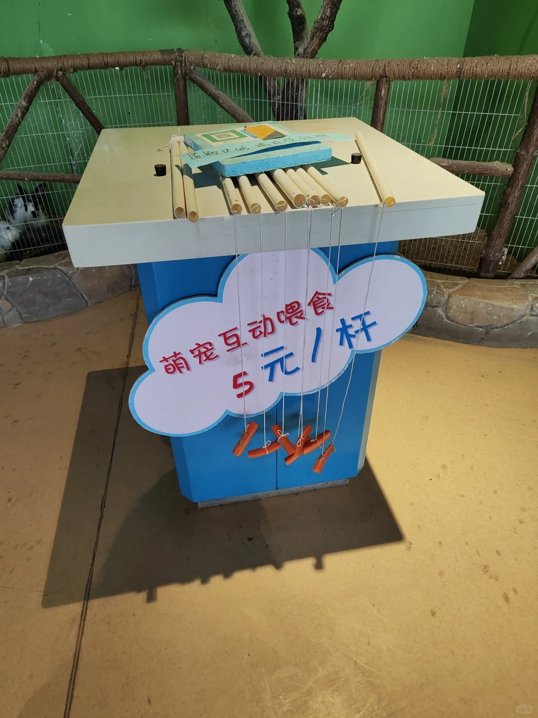 ✨邯郸遛娃?邯郸海洋世界