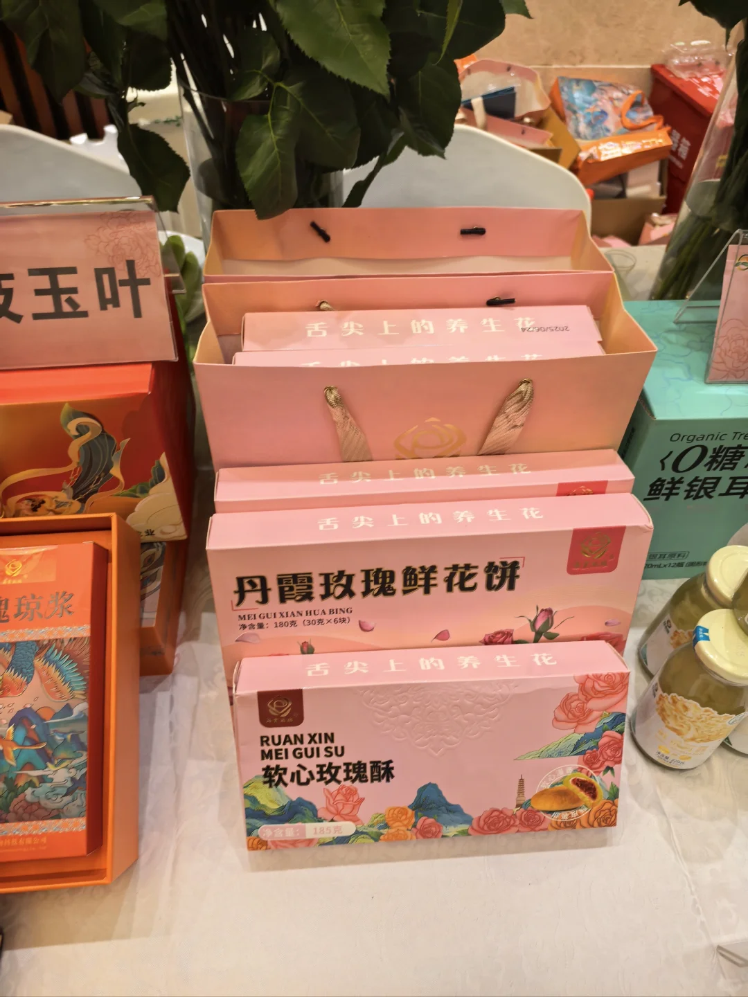 参加甘肃项目推介会