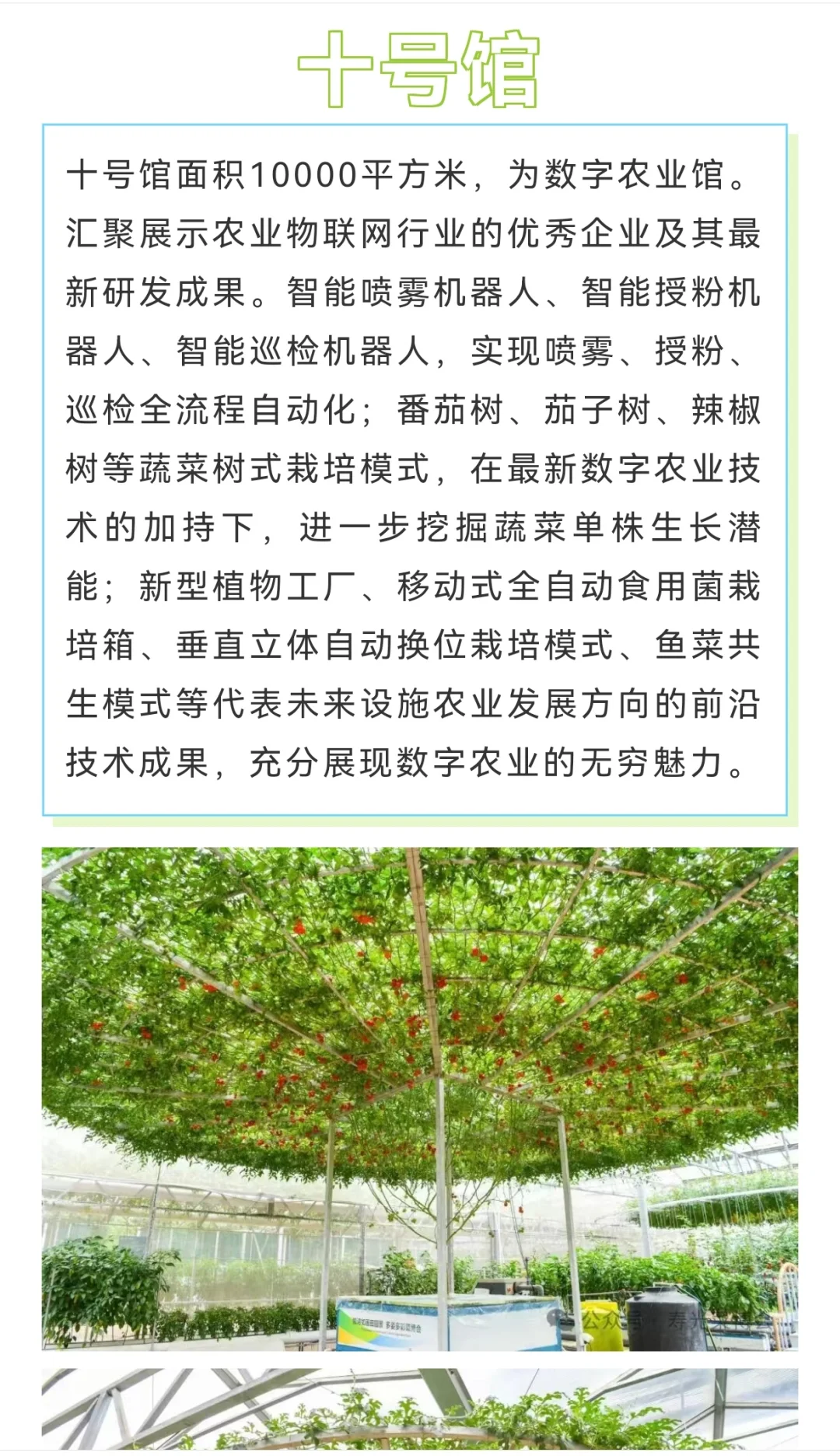 第二十六届寿光菜博会，4月20日开幕！