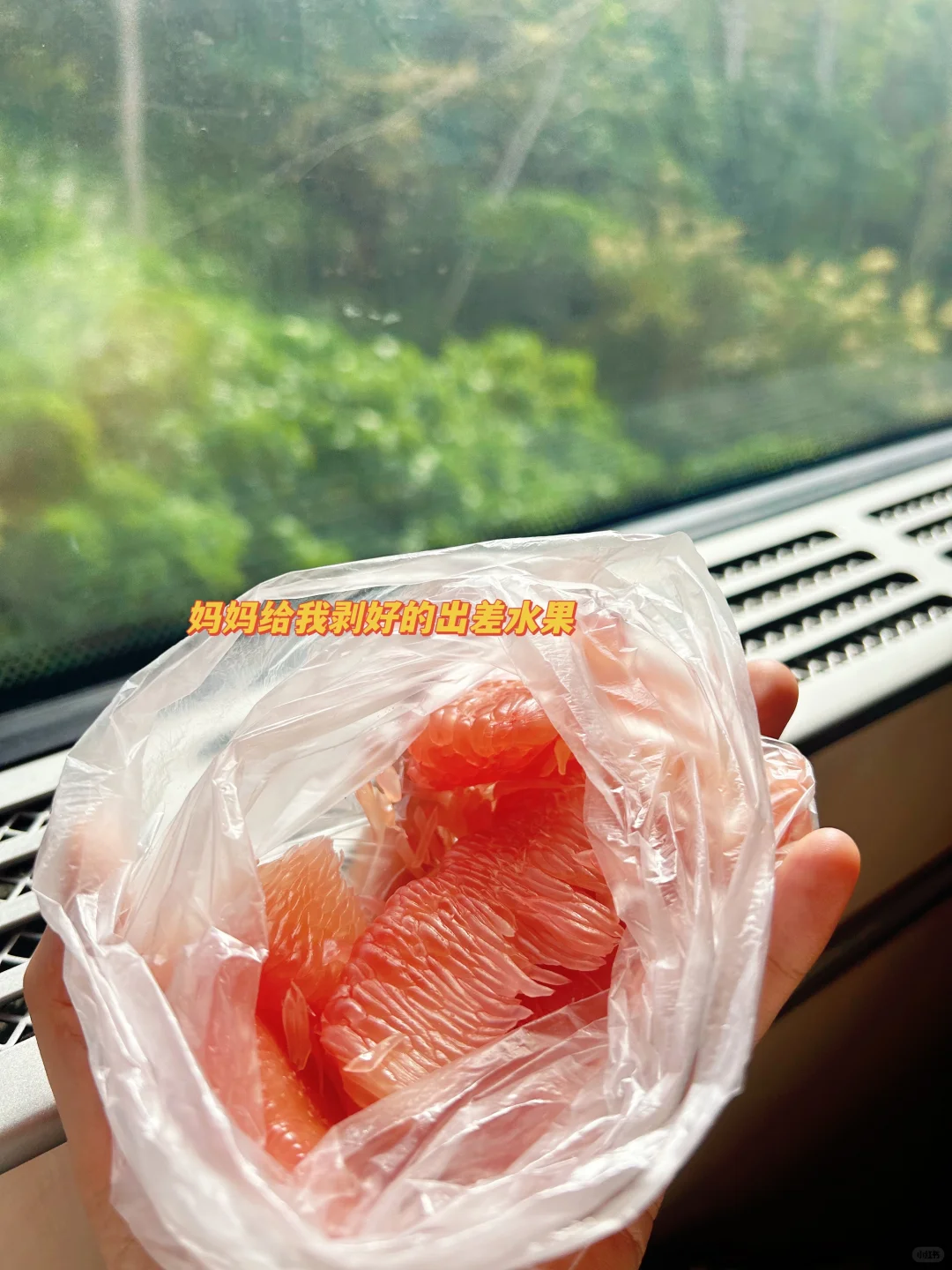 广交会出差，累死牛