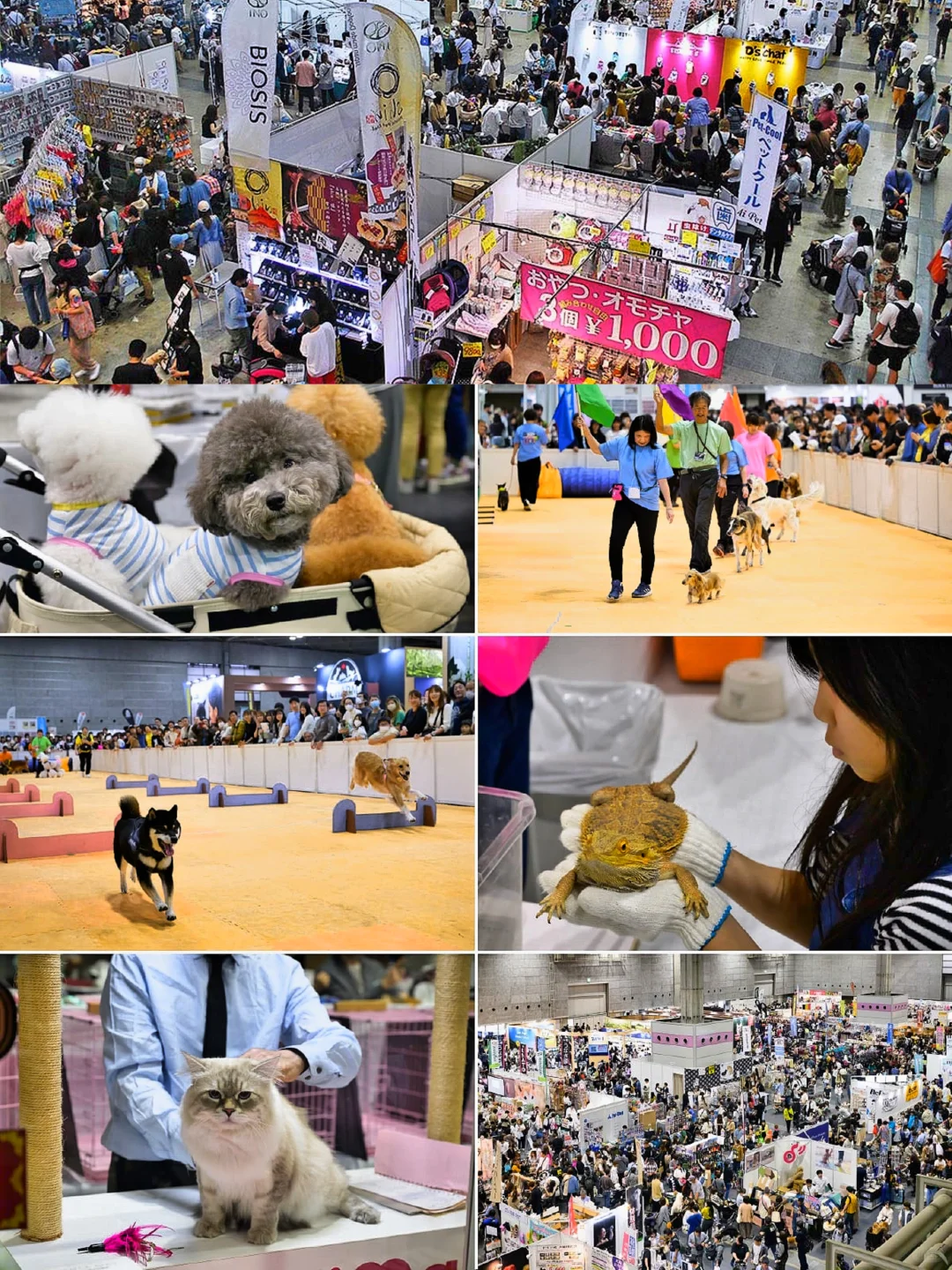 大阪|宠物展会Pet博2025???