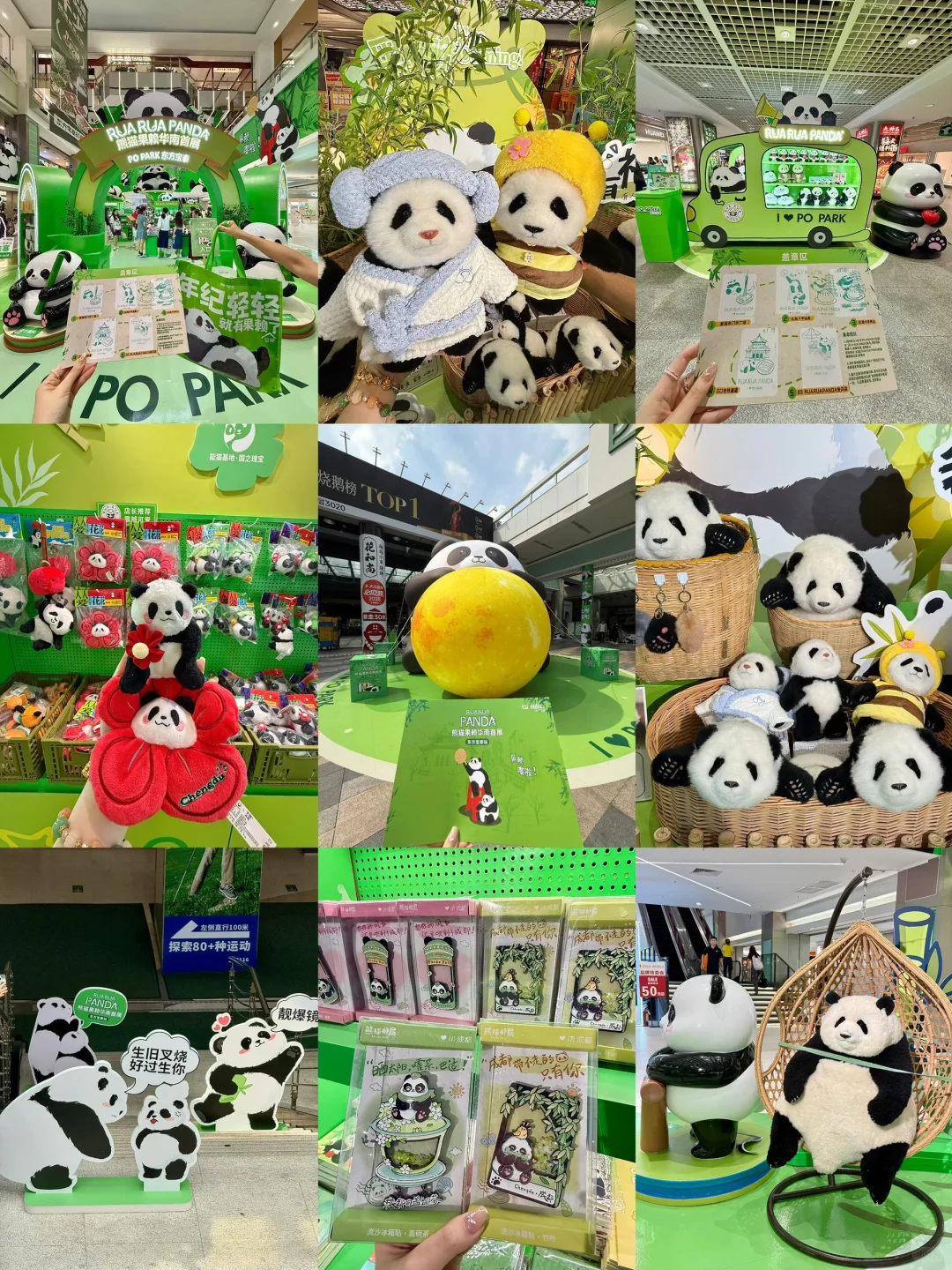 广州新的0r熊猫展！好可爱好好逛！！快去！！