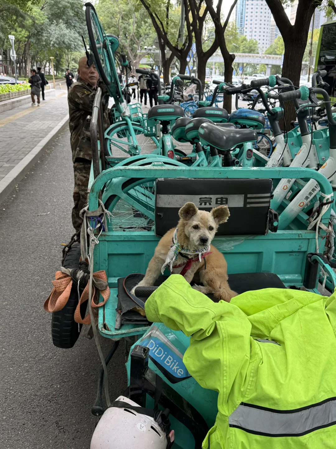 算了 说什么你都不会来☹️