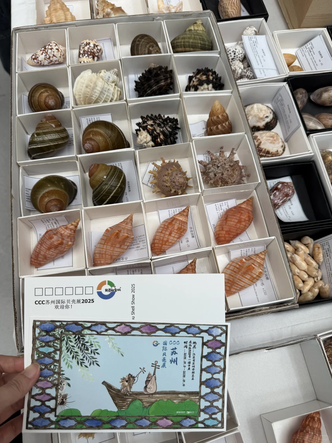 零成本接触自然之美（苏州限定）