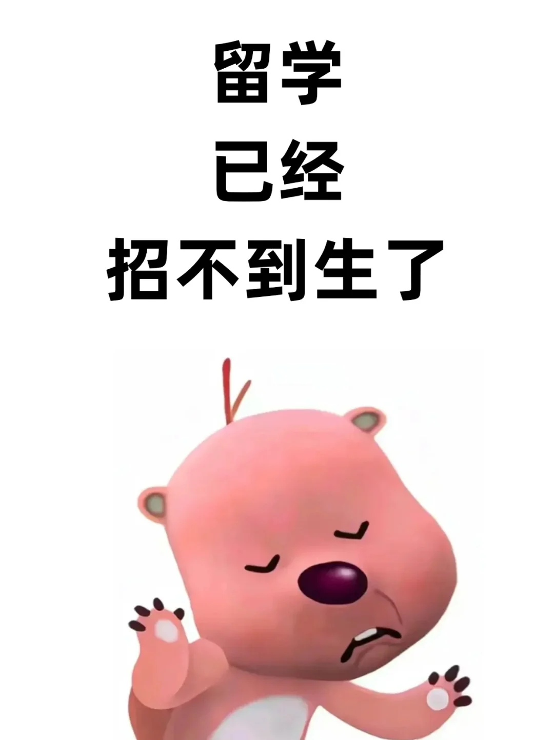留学行业，已经招不到生了…