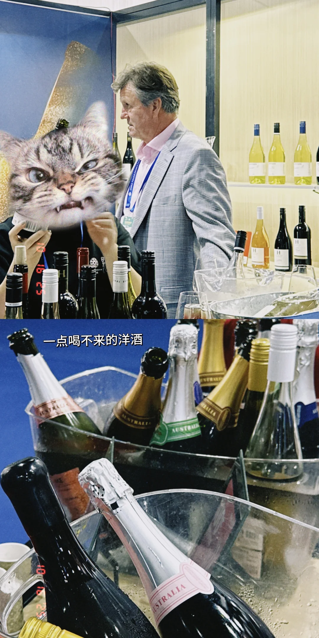 一年一度糖酒会?