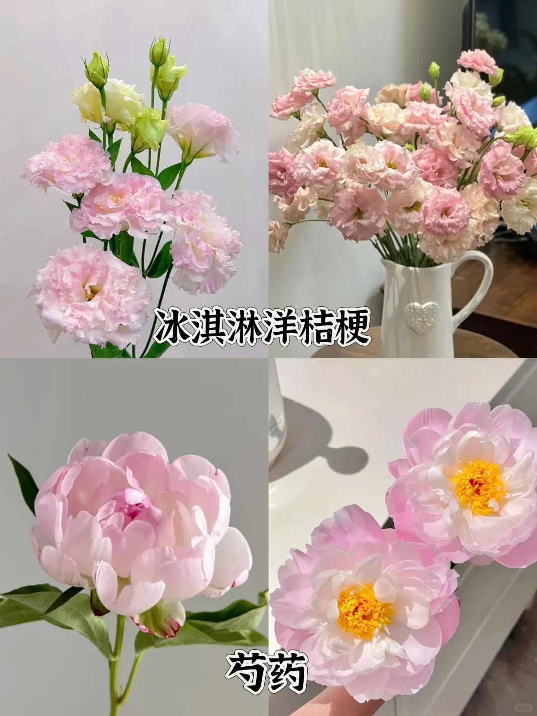 一下认识16种粉色花材，少女心动系列