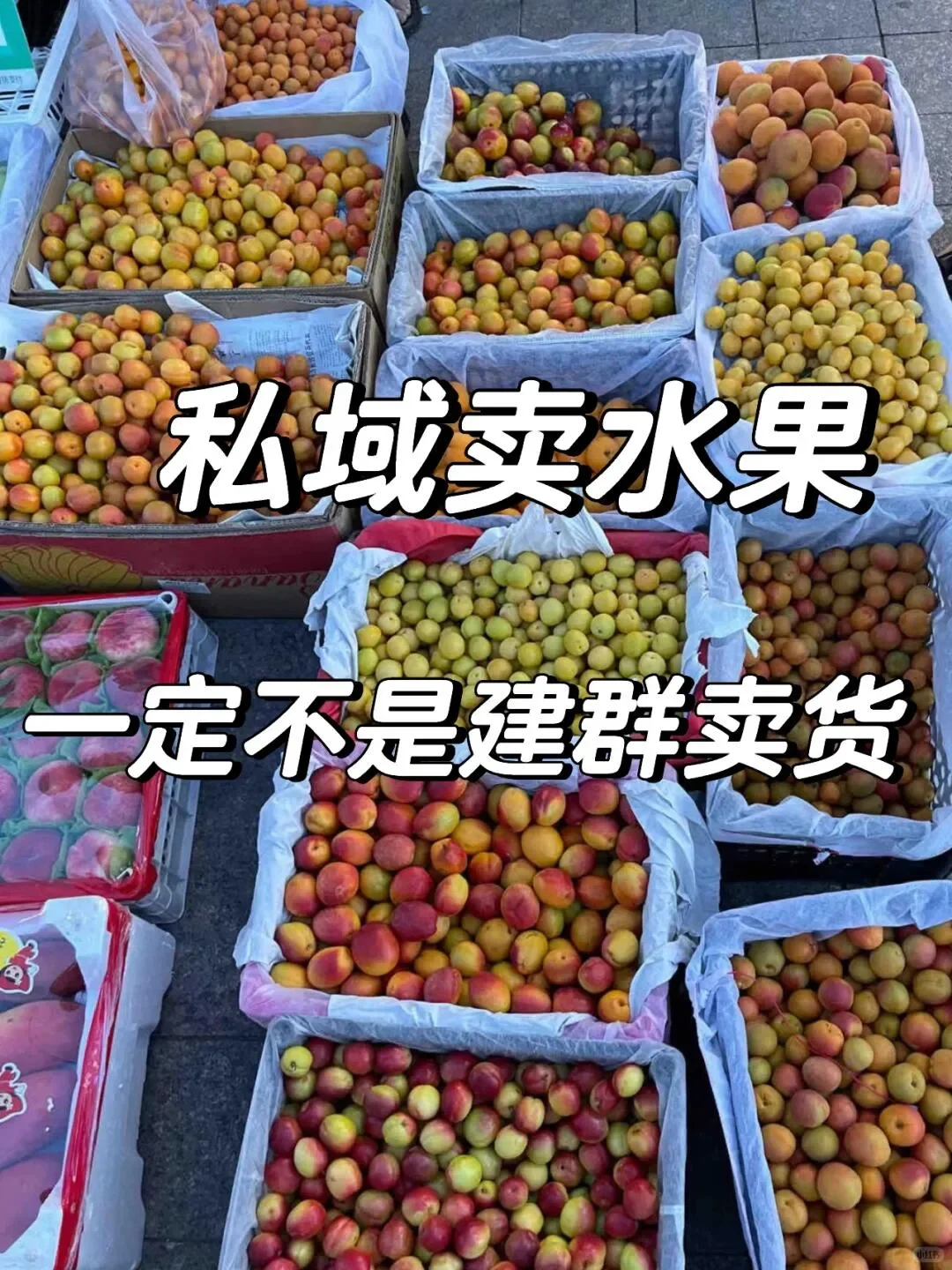 水果店靠