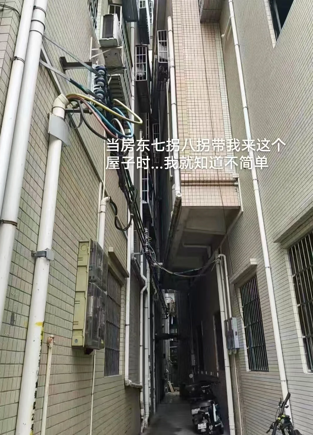 鼠鼠的房子生病了,所以鼠鼠离开了