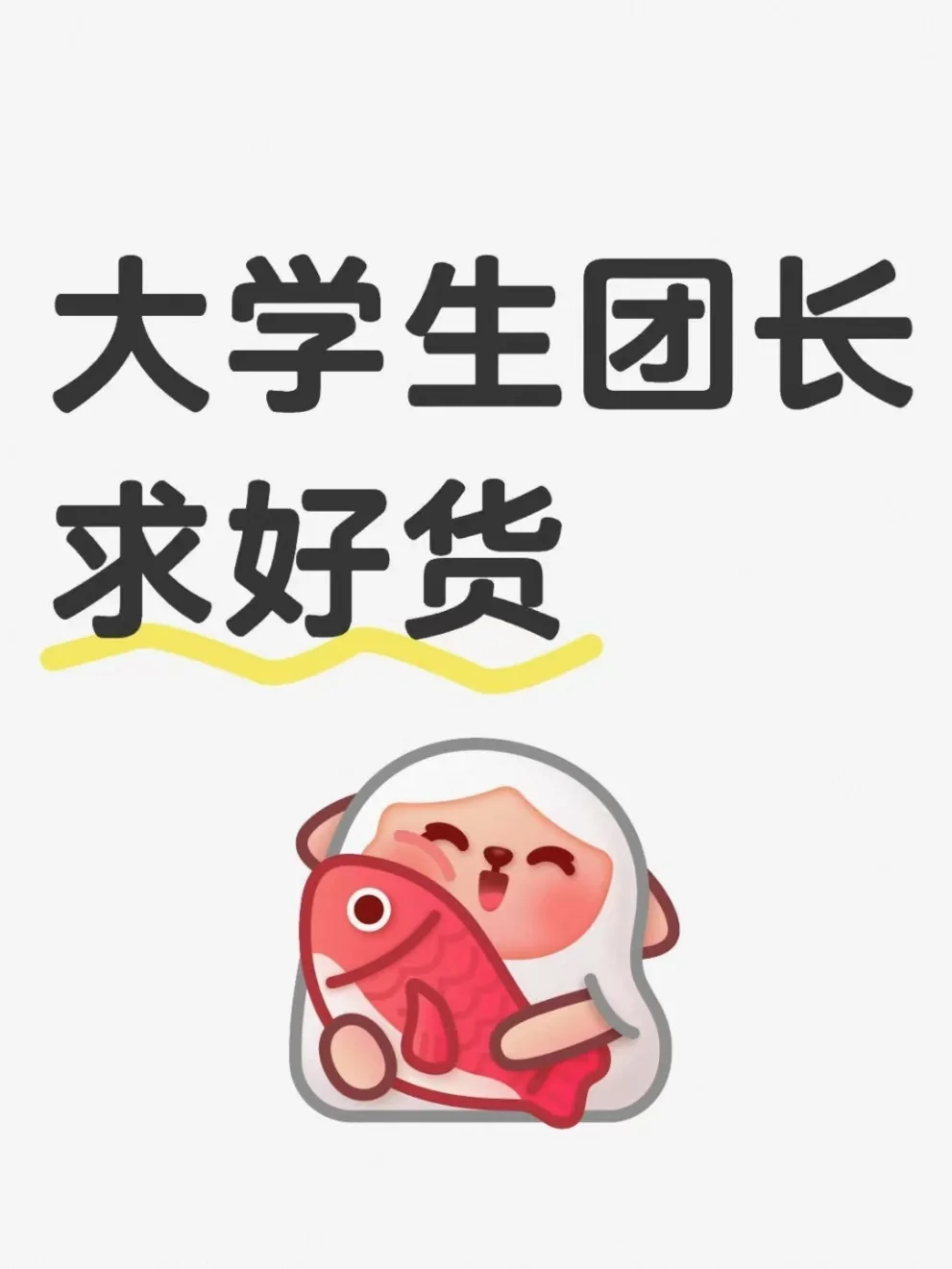 大学生团长求好货