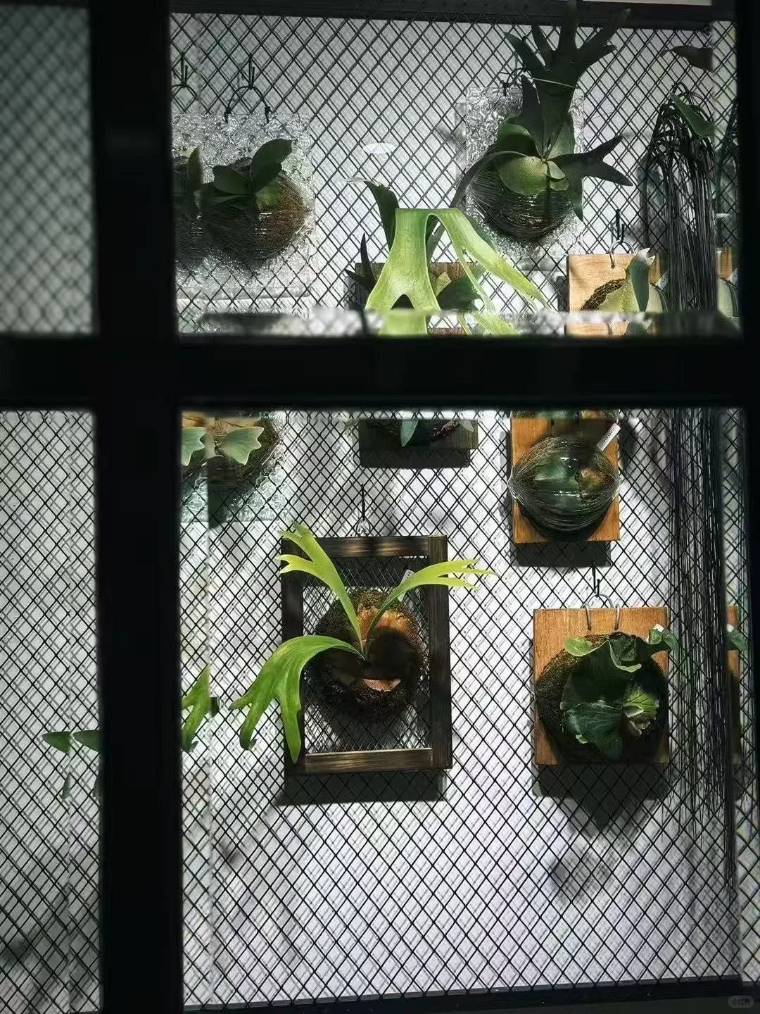 福州新展!这个周末豪华游艇可以看个够!