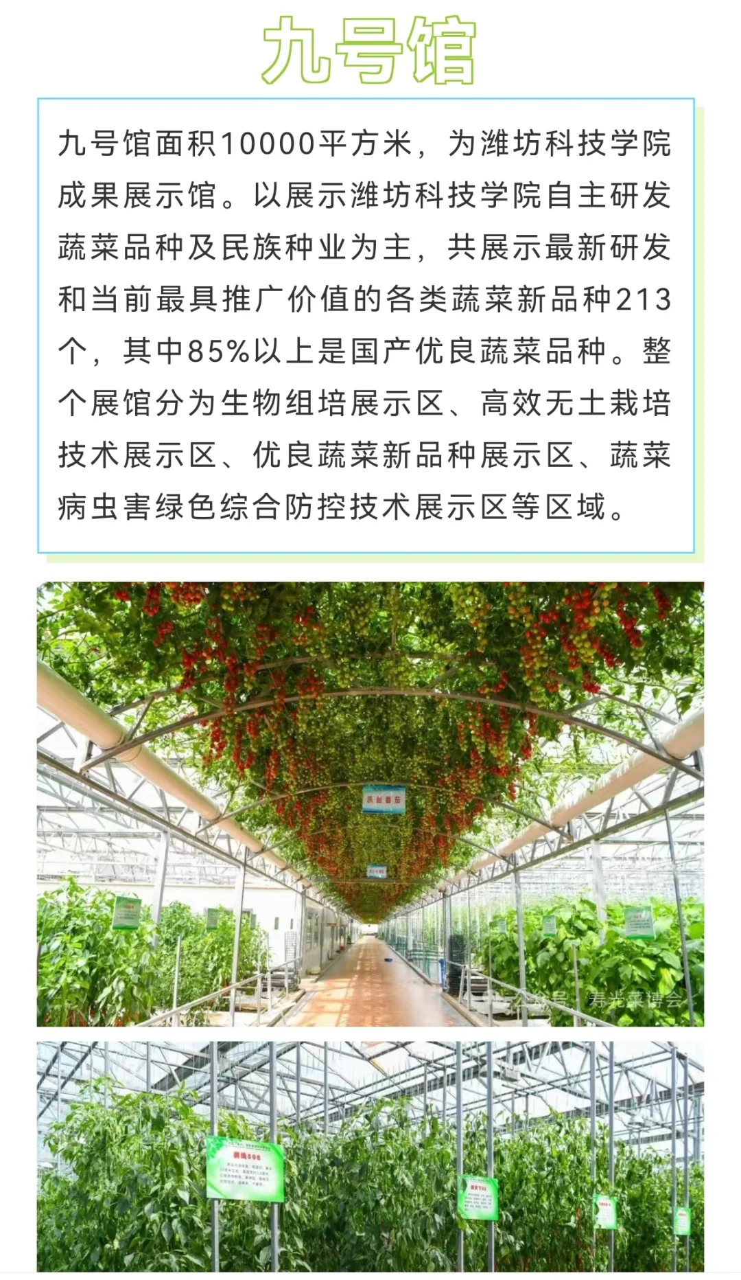 第二十六届寿光菜博会，4月20日开幕！