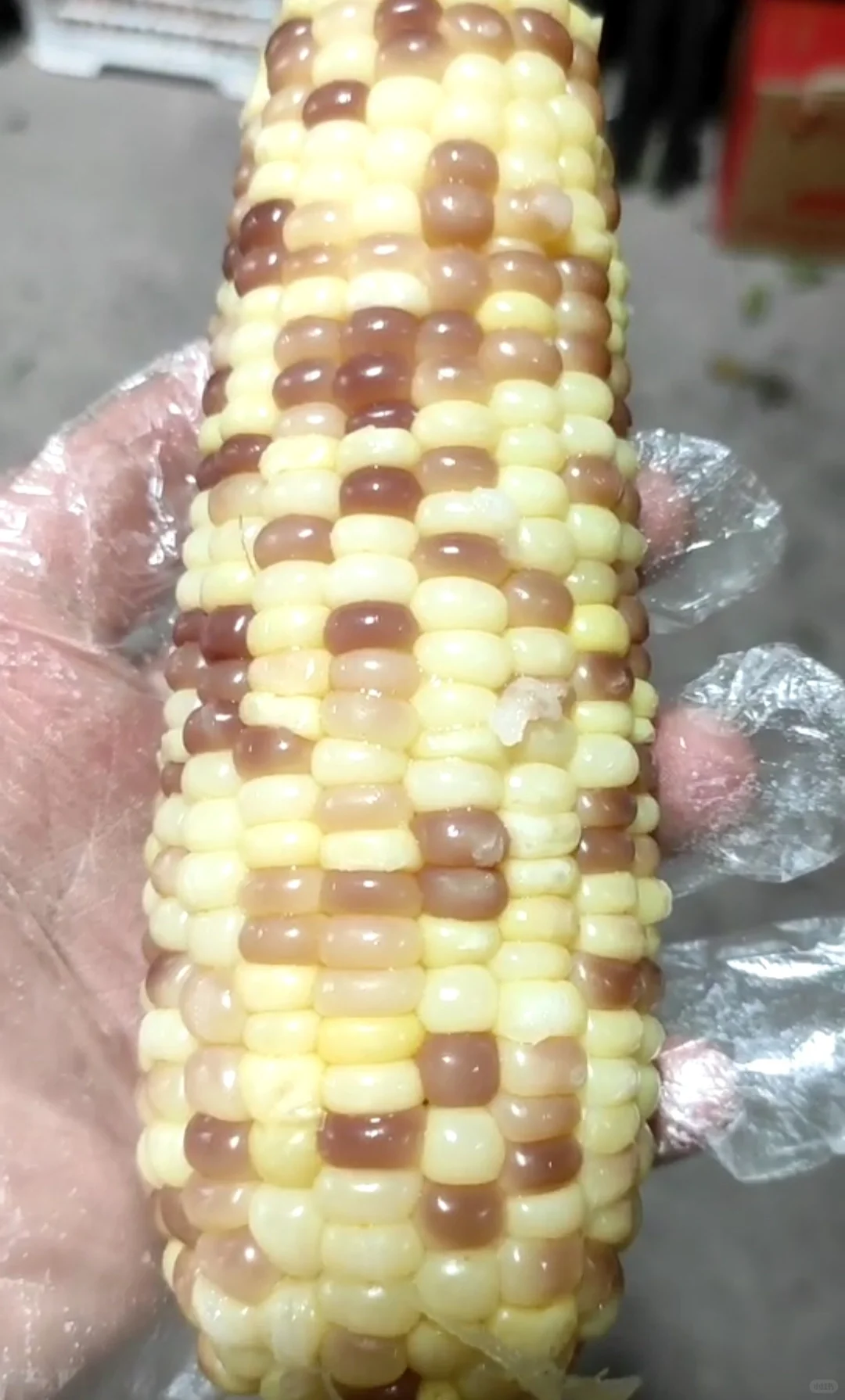 感谢玉米?
