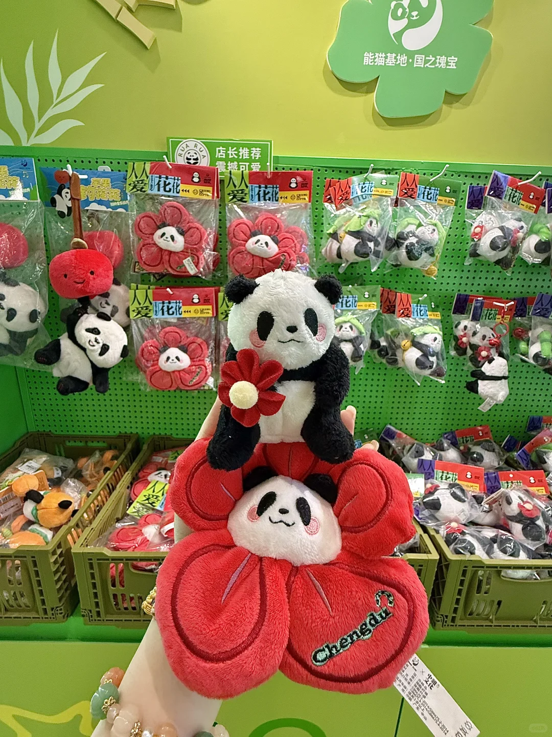 广州新的0r熊猫展！好可爱好好逛！！快去！！