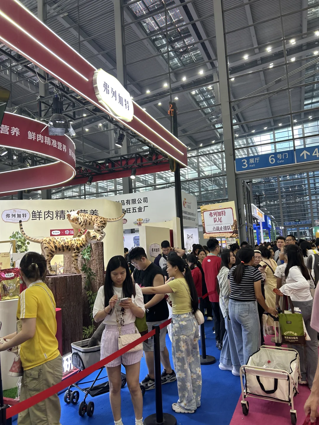 10.18深宠展最新羊毛战报!