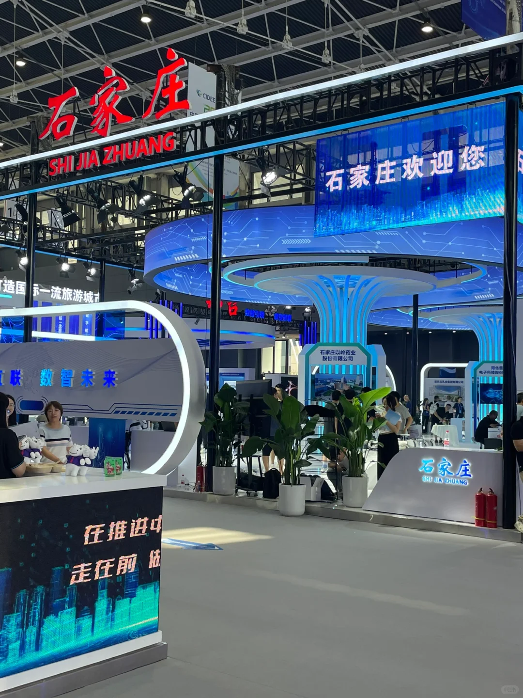 数博会在国际庄?