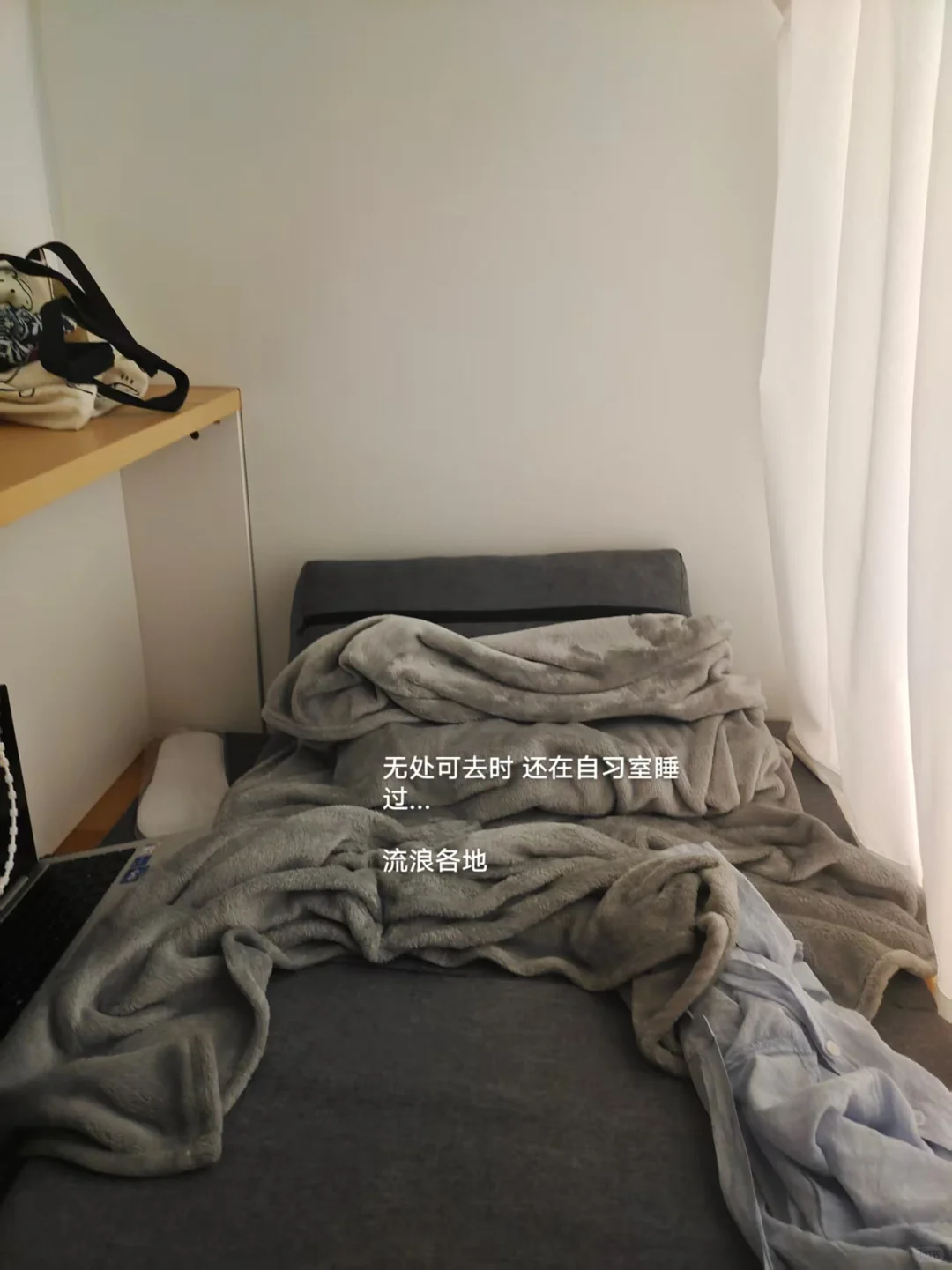 鼠鼠的房子生病了,所以鼠鼠离开了