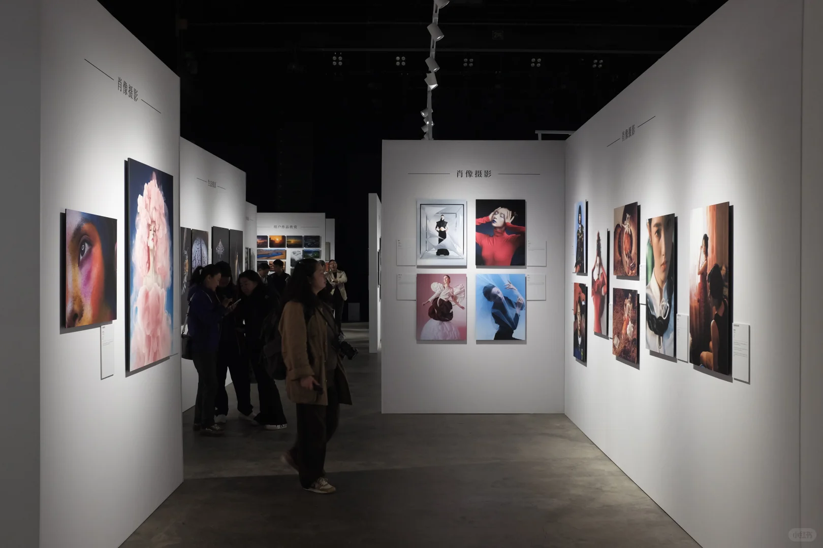 本周末冲798!富士X影像周逛展全攻略
