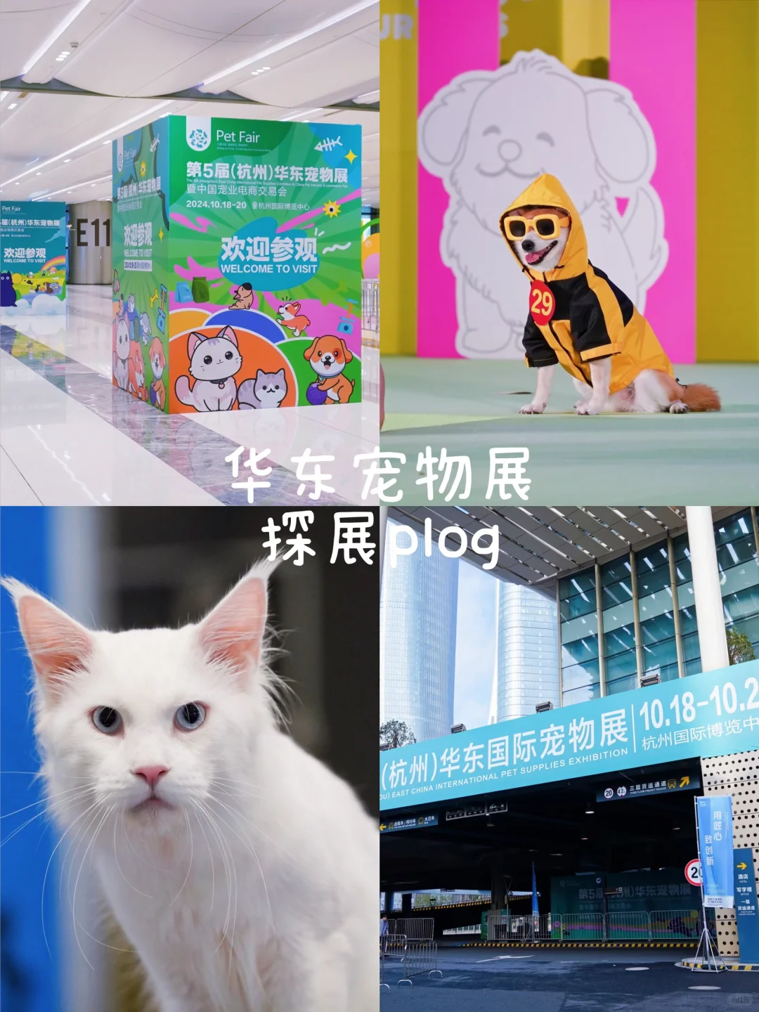 ? 第6届华东宠物展 • 铲屎官の狂欢圣地