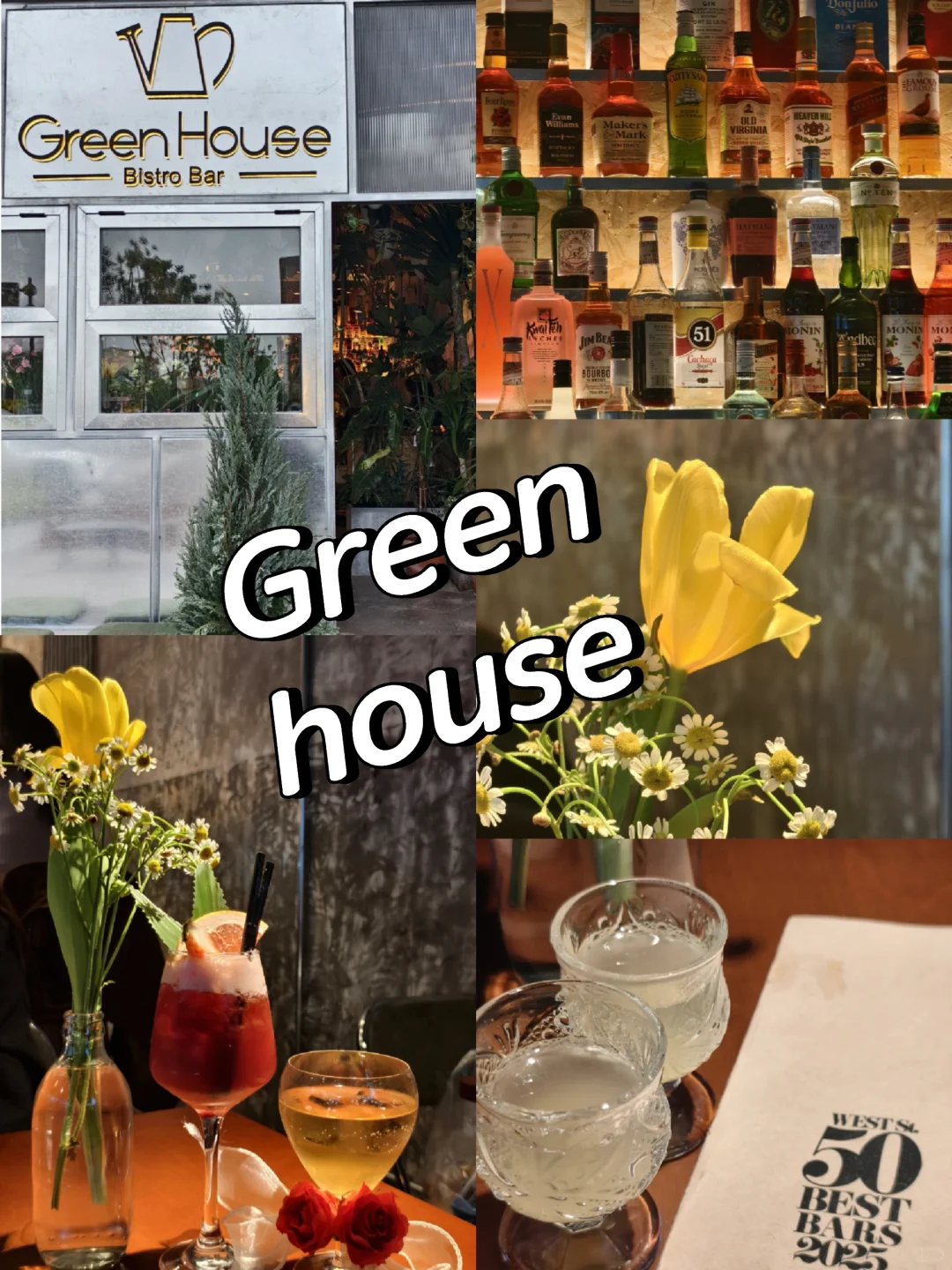 邯郸丨Green House