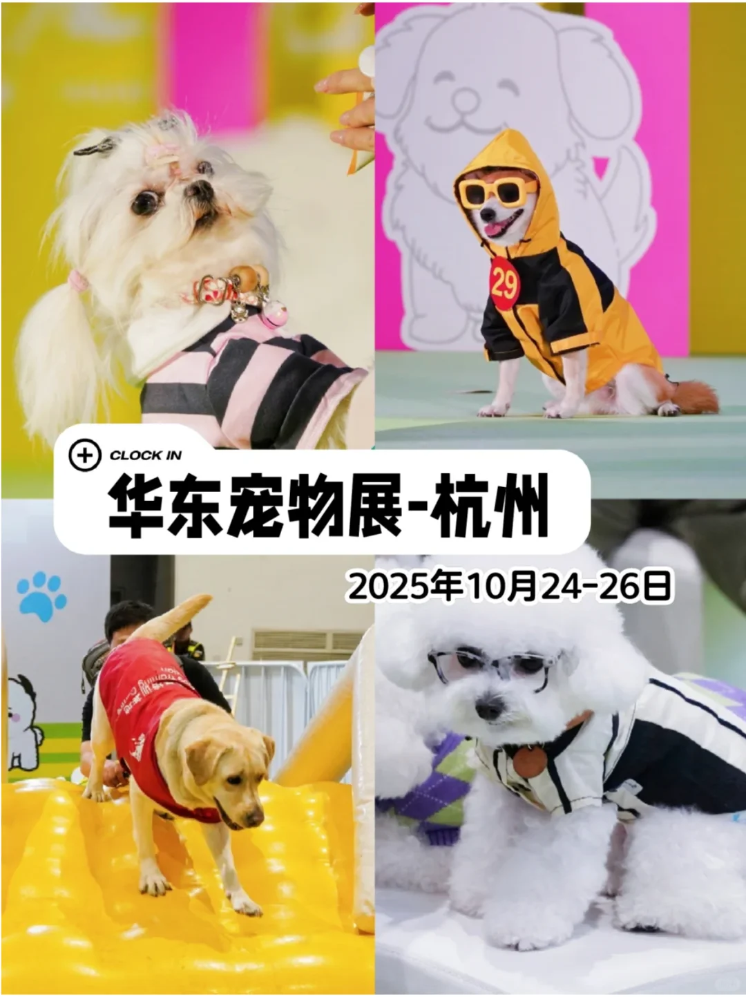 铲屎官狂喜！华东国际宠物展来啦@上海