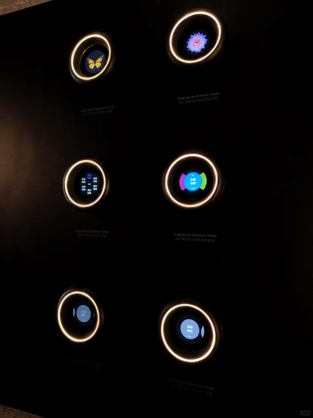 逛展-2025摩登上海设计周 设计&可能