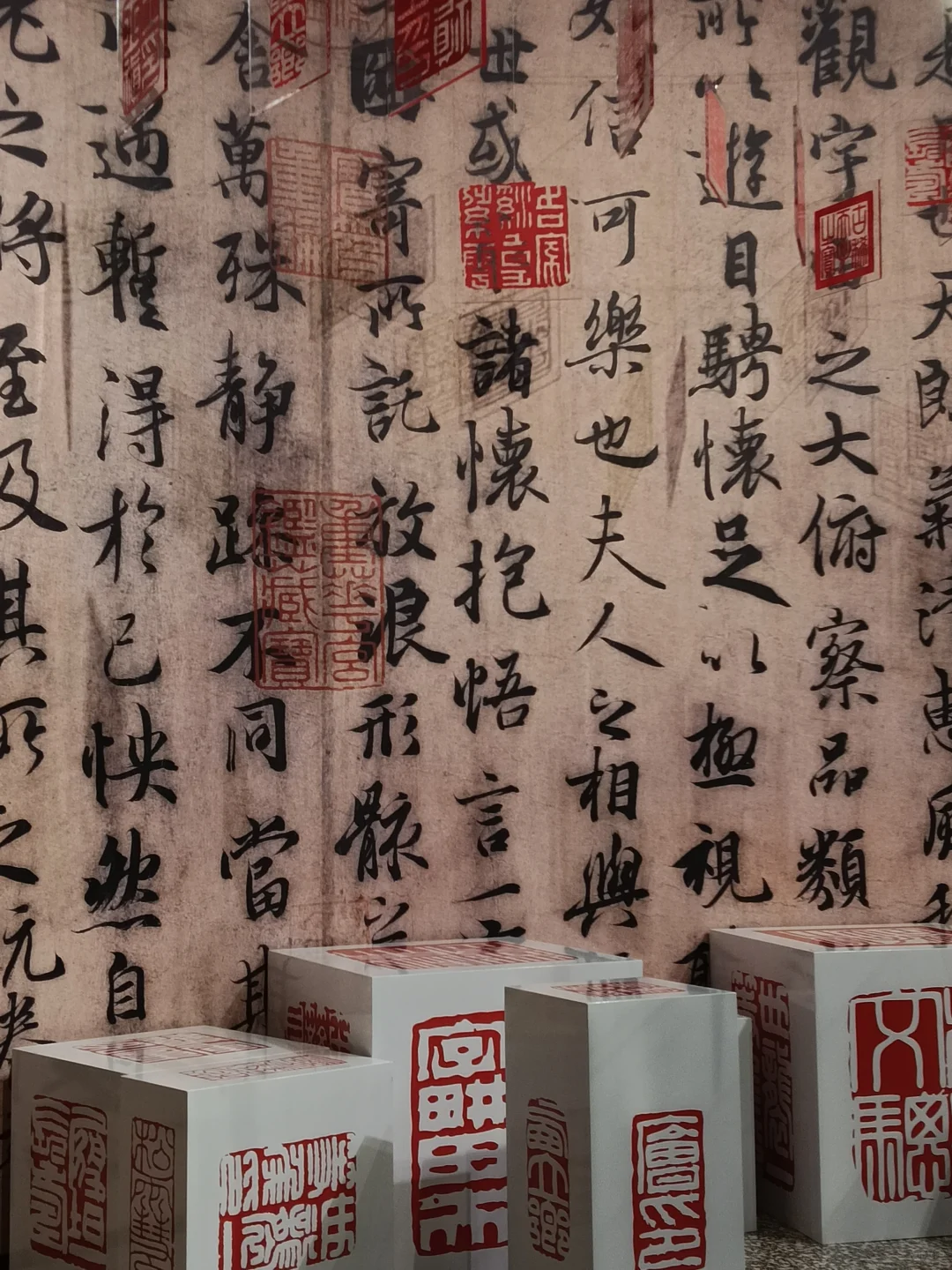 ?国家地理展石家庄&河北博物院