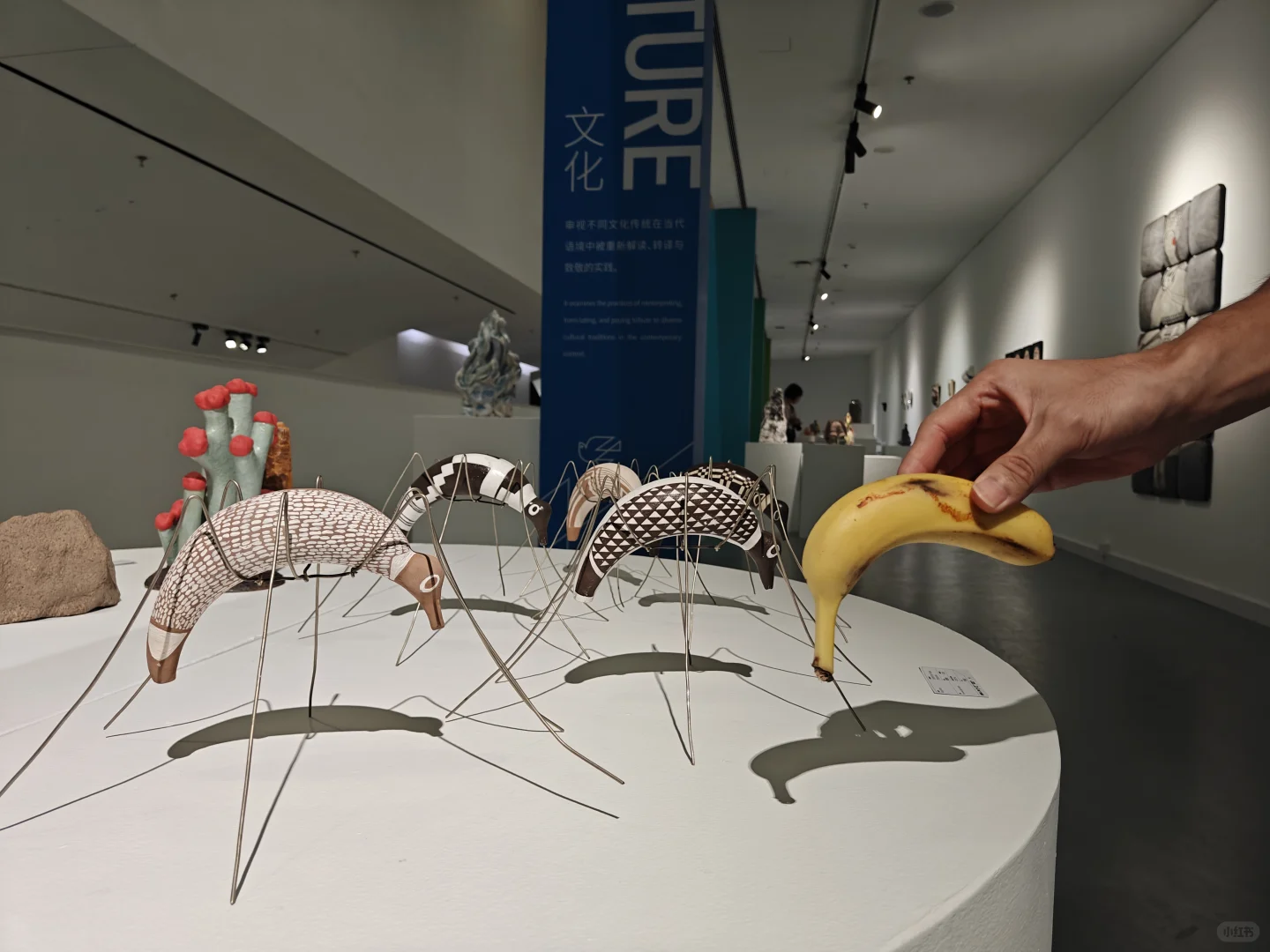 在设计展上干行为艺术