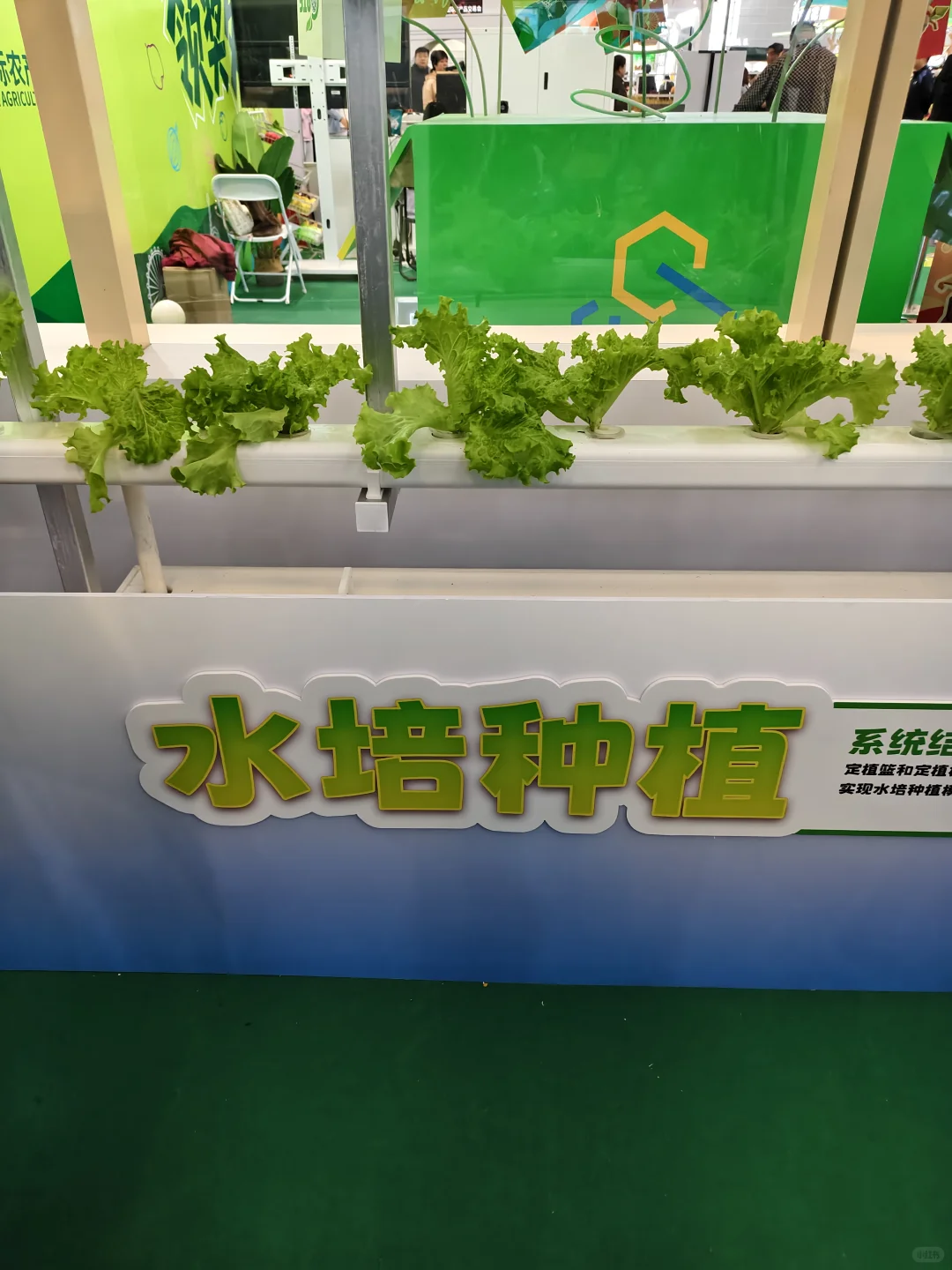替哥们来看看家门口的农产品交易会
