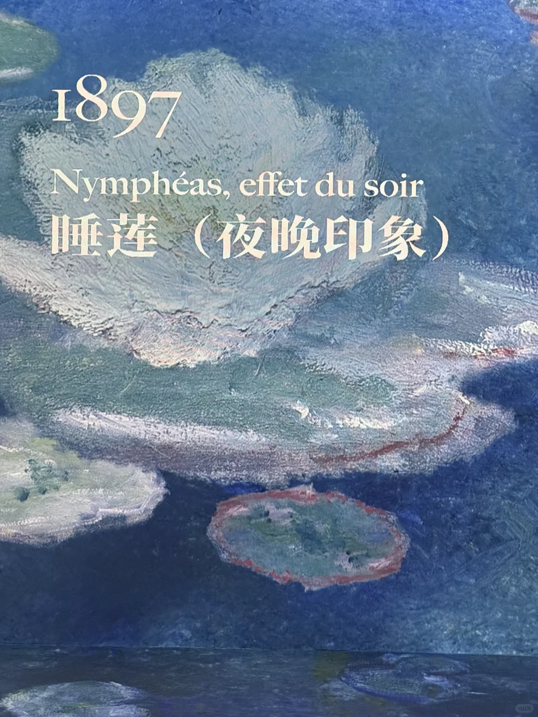 北京新展｜ ?️印象·莫奈 沉浸式光影展