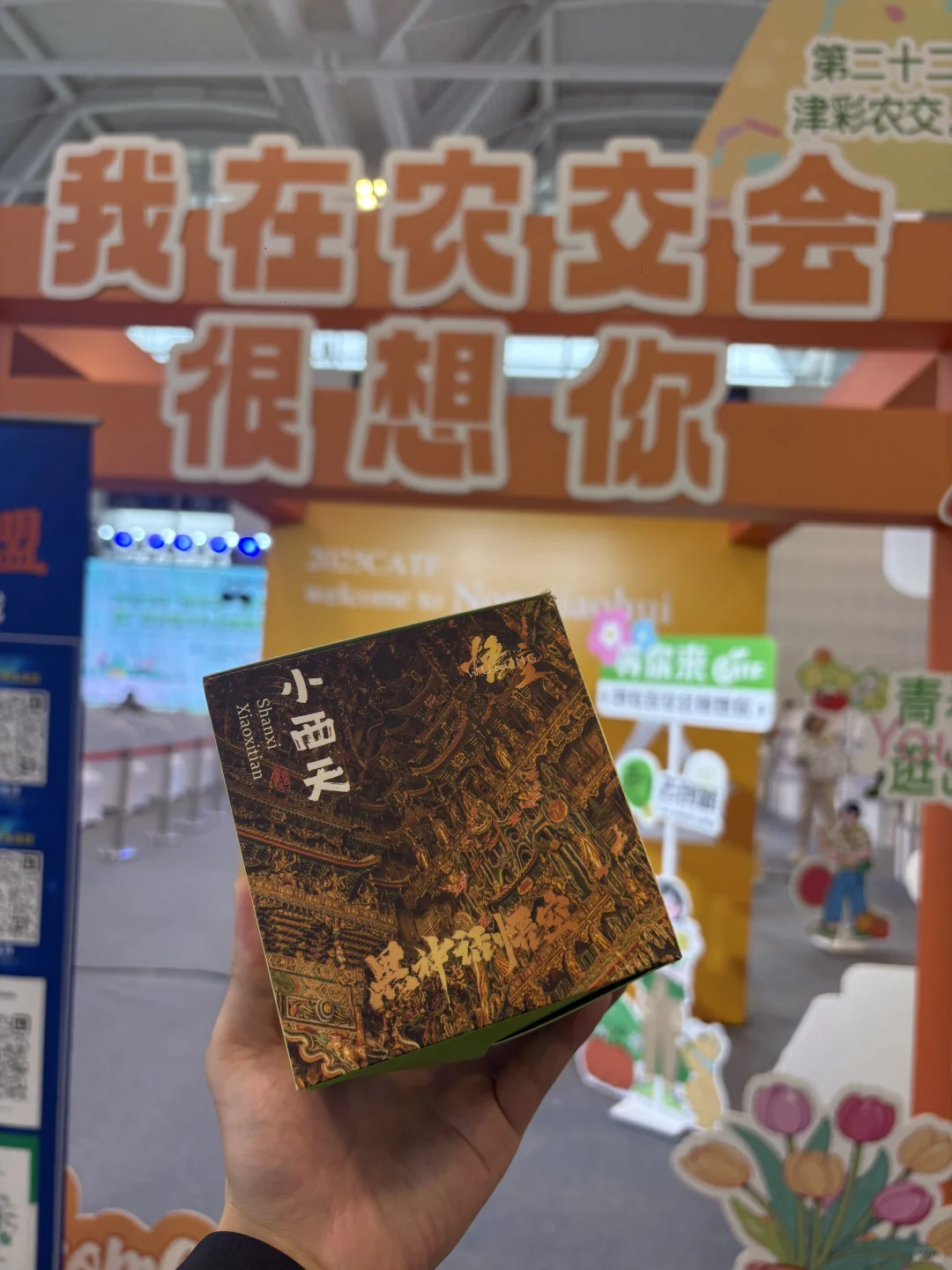 第二十二届农交会必冲！隰县玉露香梨太绝了