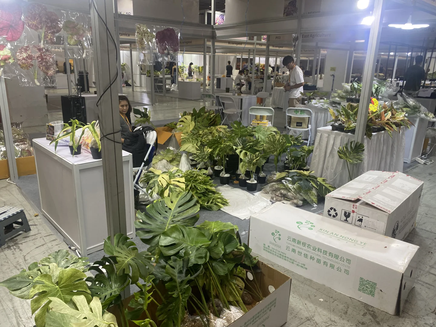 无锡热植展 一边拆箱一边买买买了