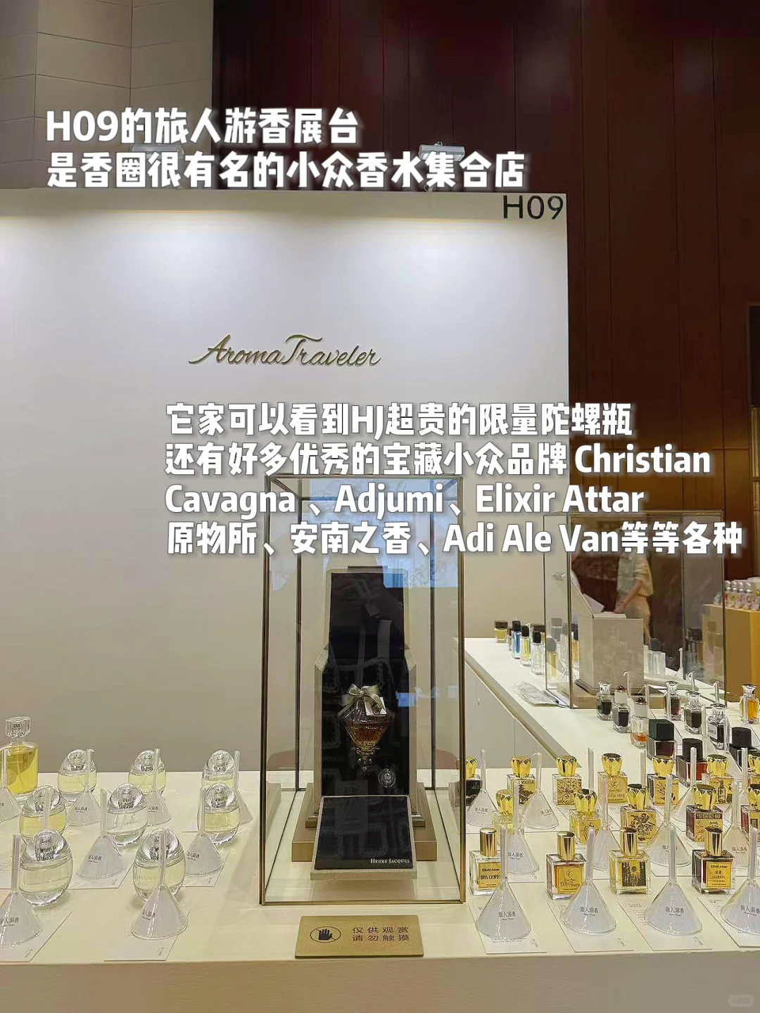 气味上海逛展攻略｜逛了2天整理出来的
