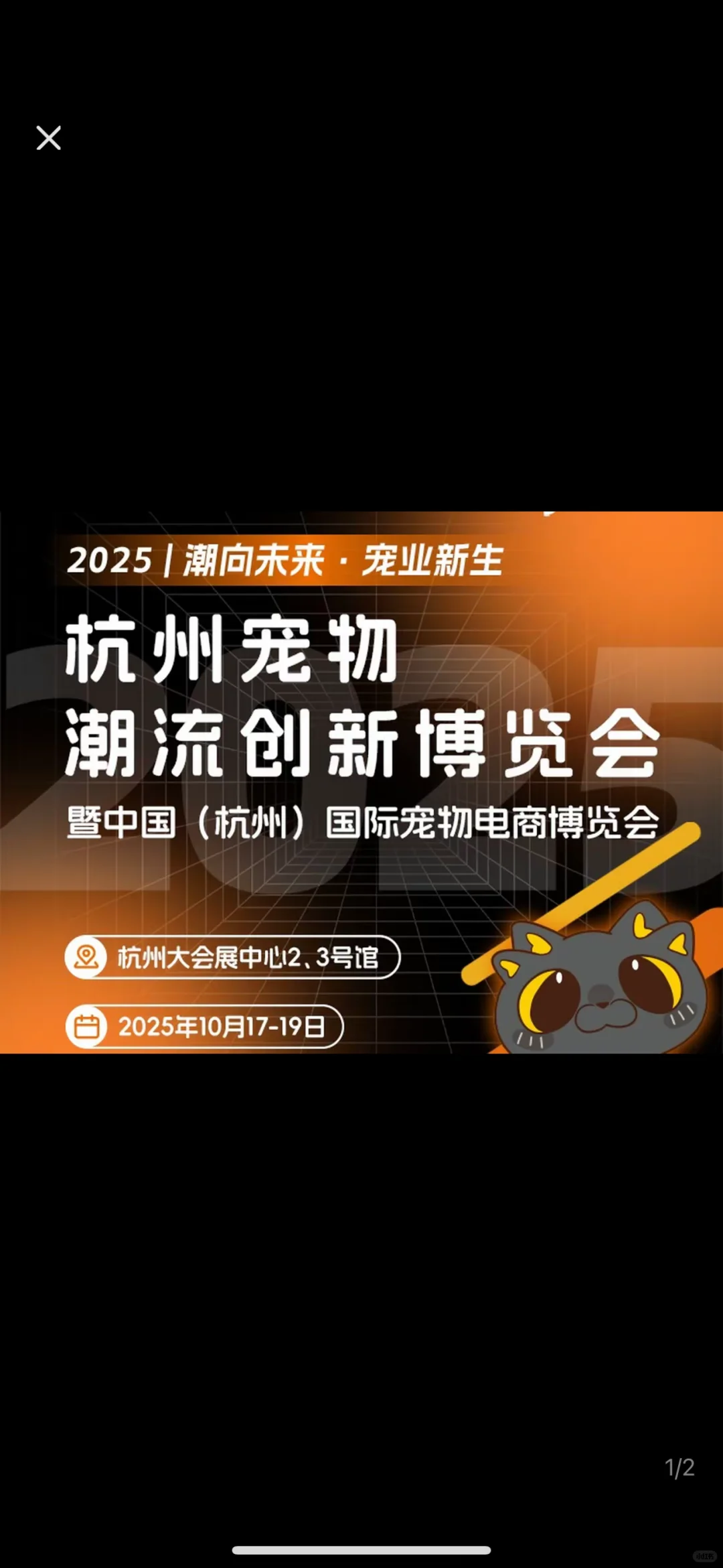 杭州宠物展招人啦