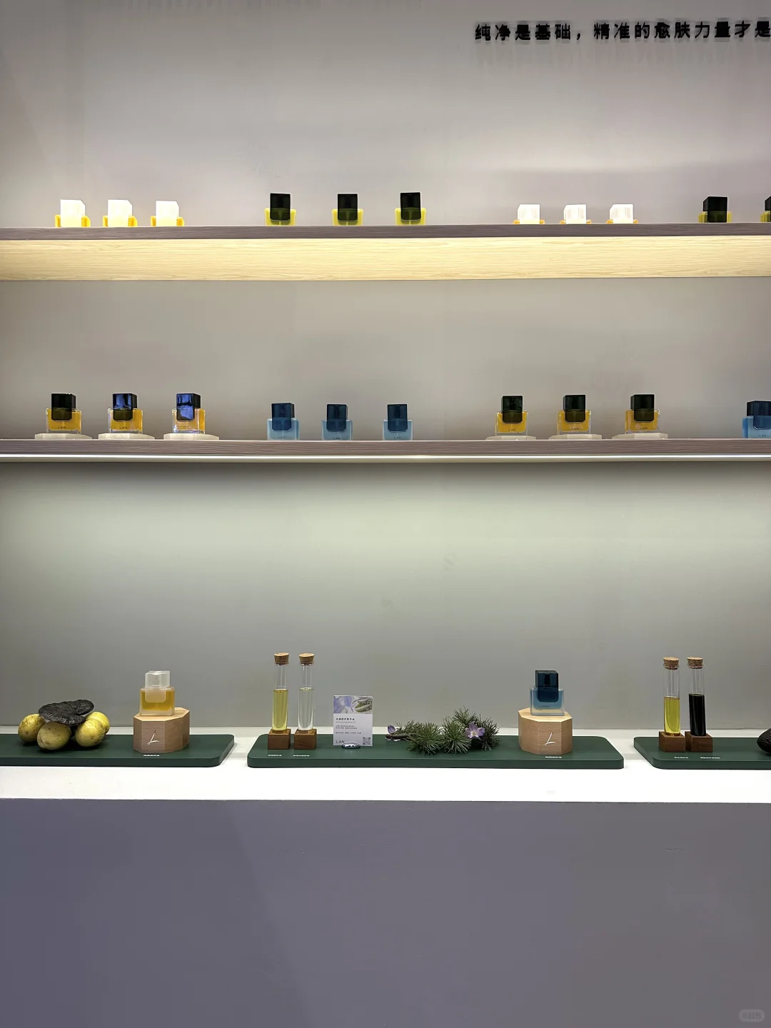 今天在上海西岸展会有10w人‼️