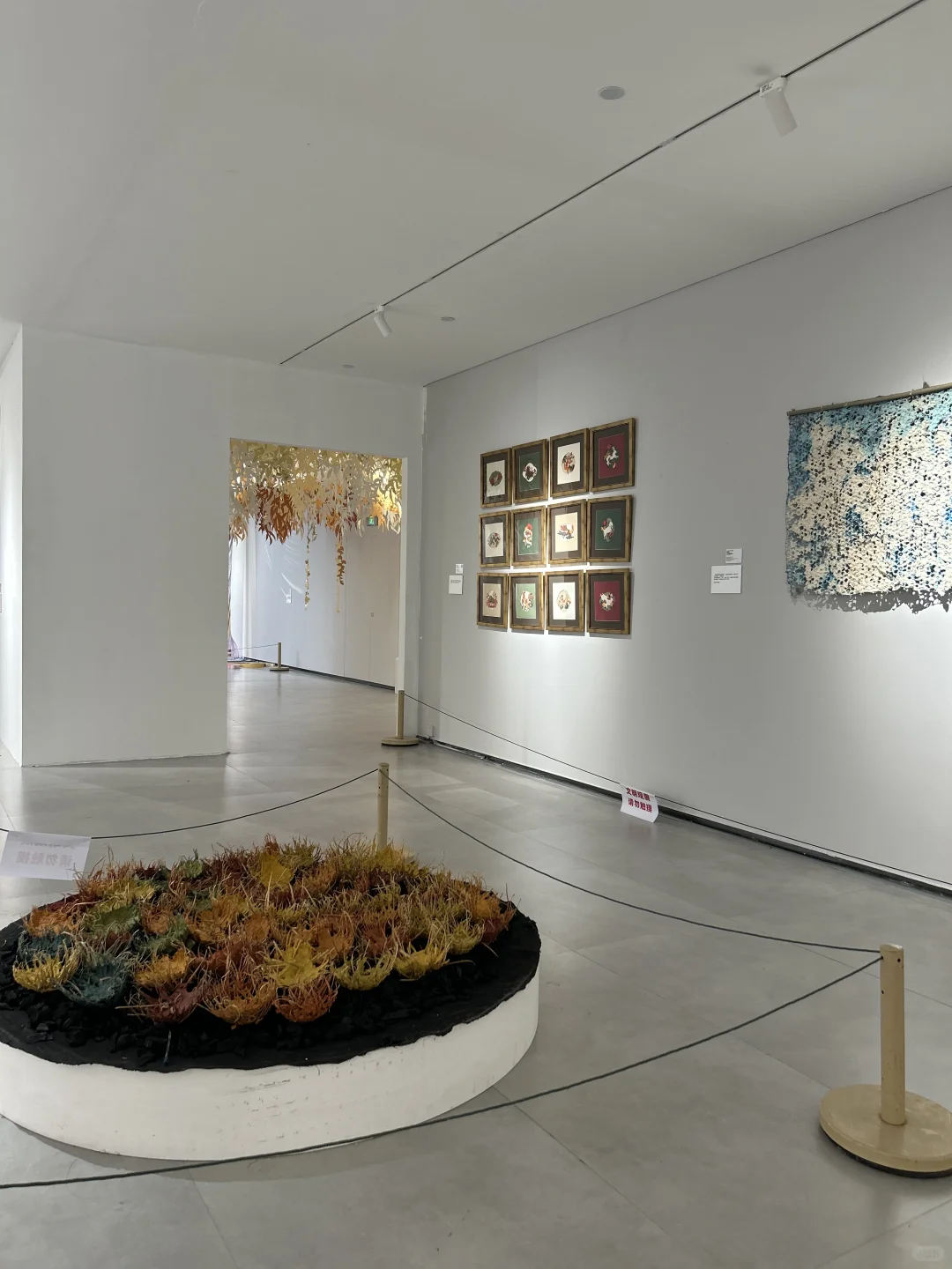 10月“paper maze”西安国际纸艺展